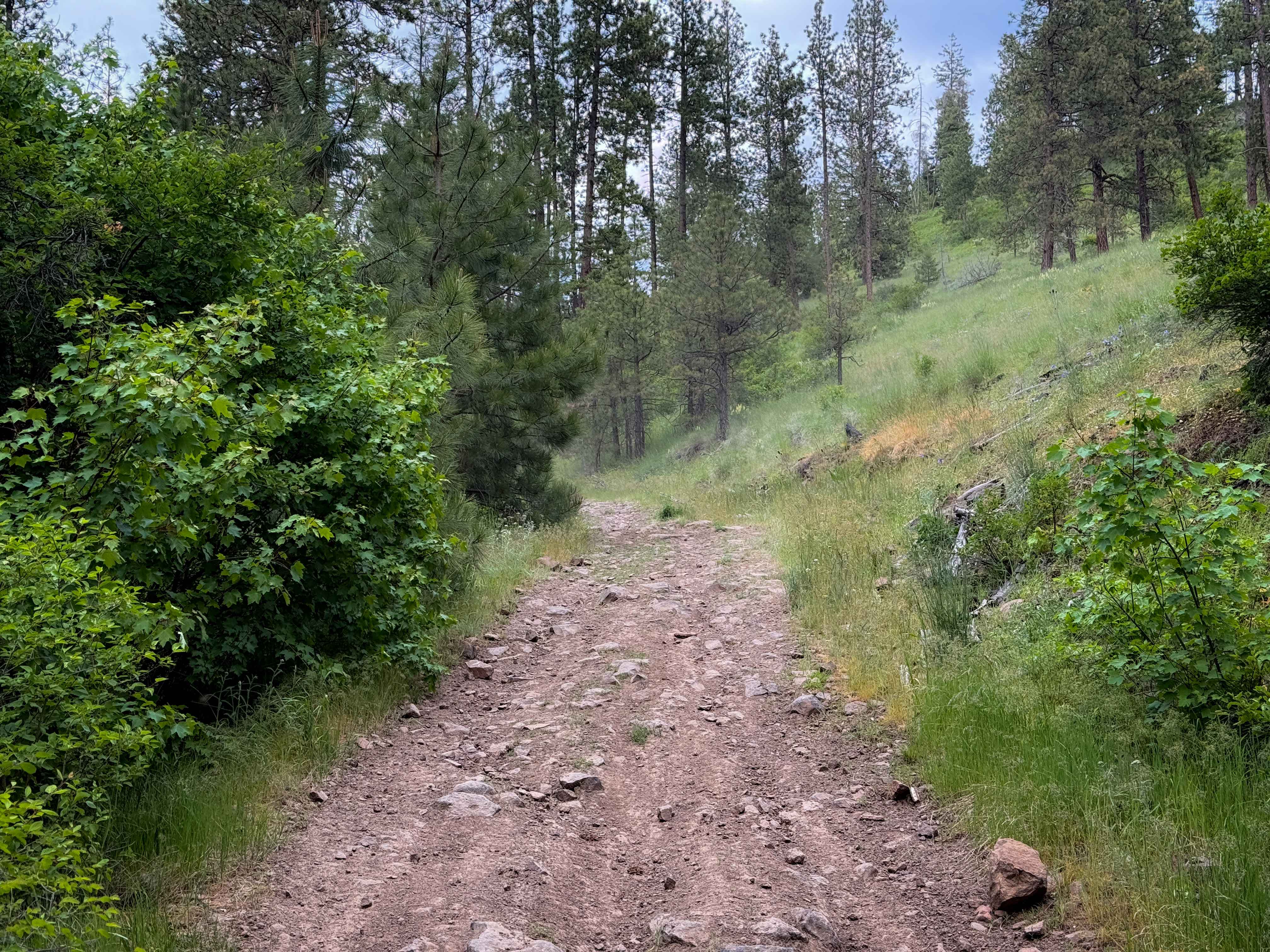Training Day - Trail 410