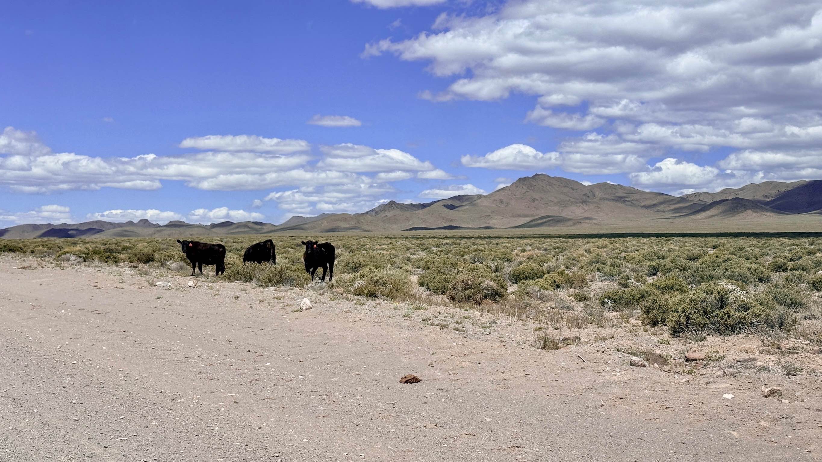 Cloverdale-Peavine Road