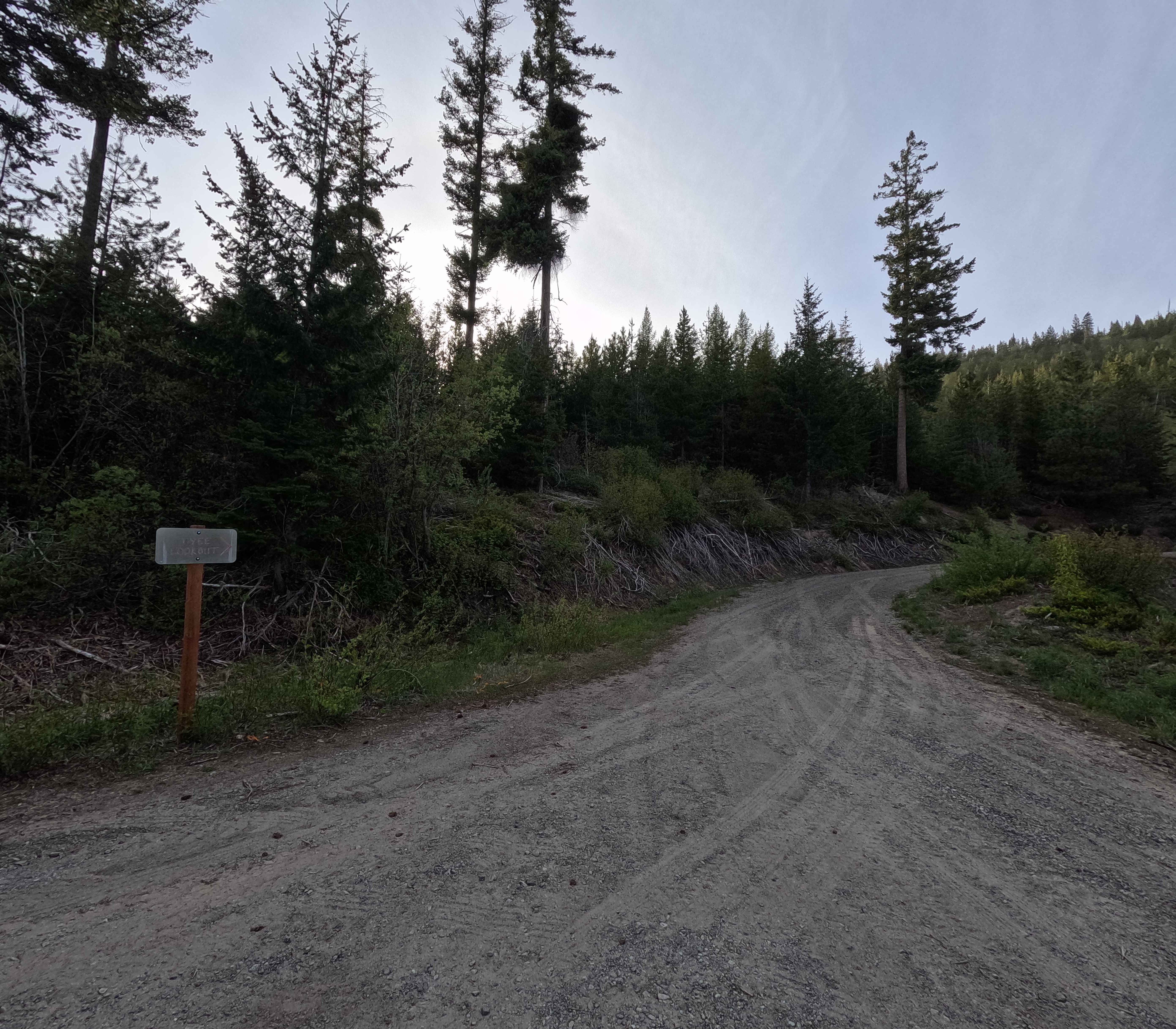 Tyee Lookout Road - FS 5713