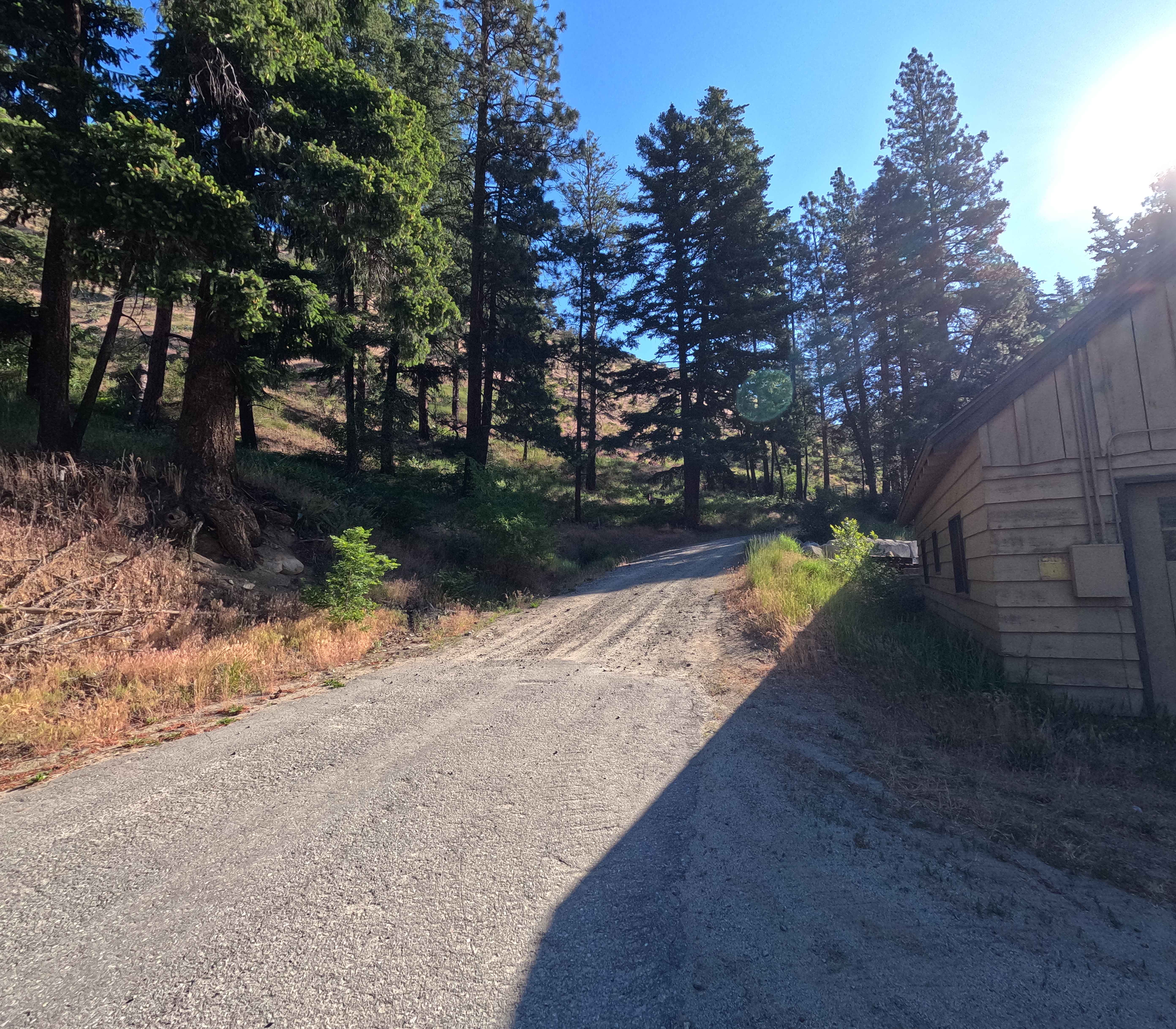 Steliko Ridge Road - FS 5310