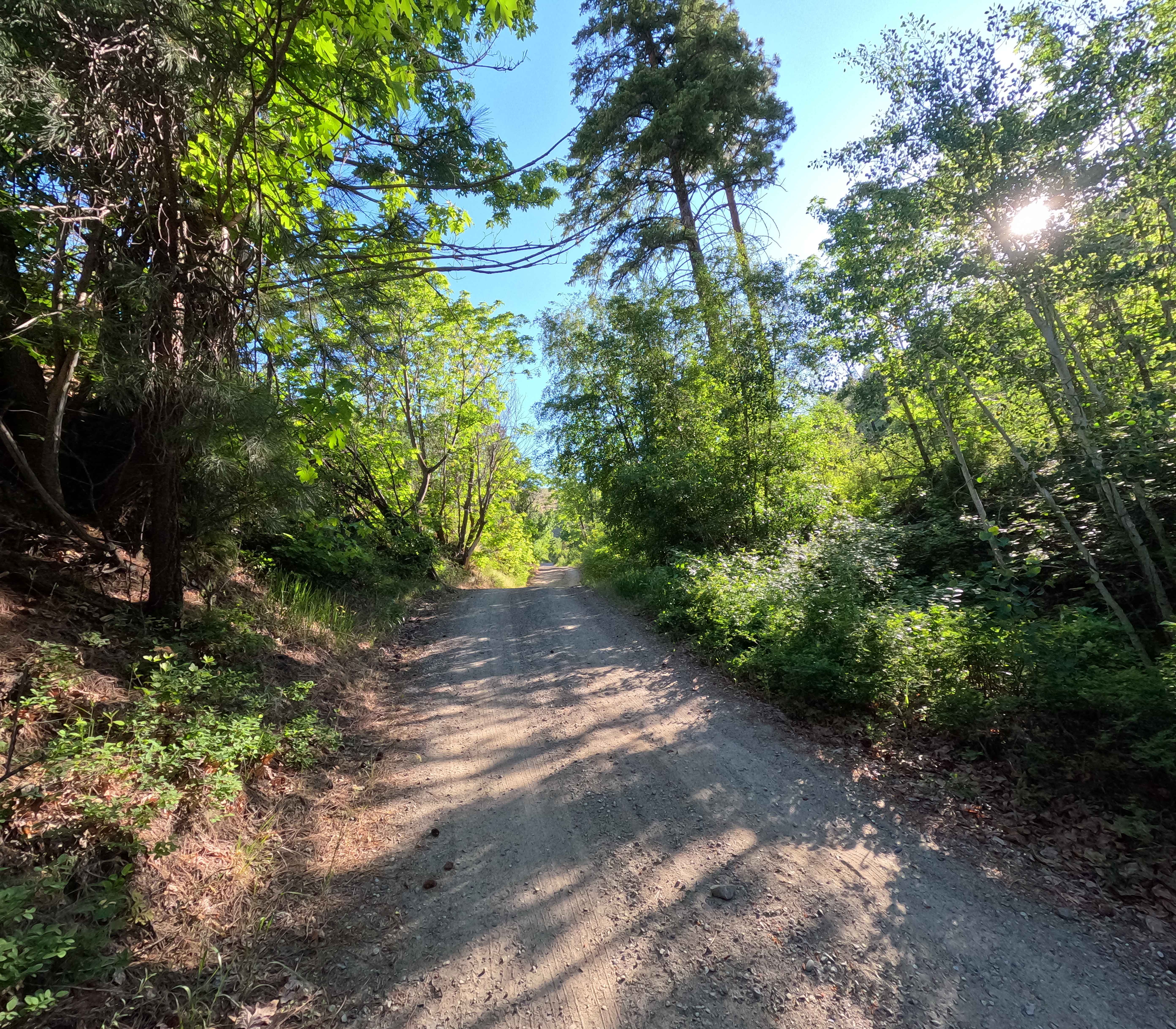 Steliko Ridge Road - FS 5310