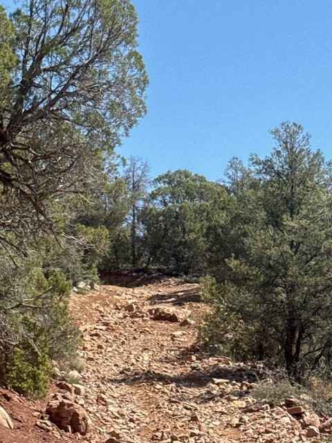 67 White Mountain Road