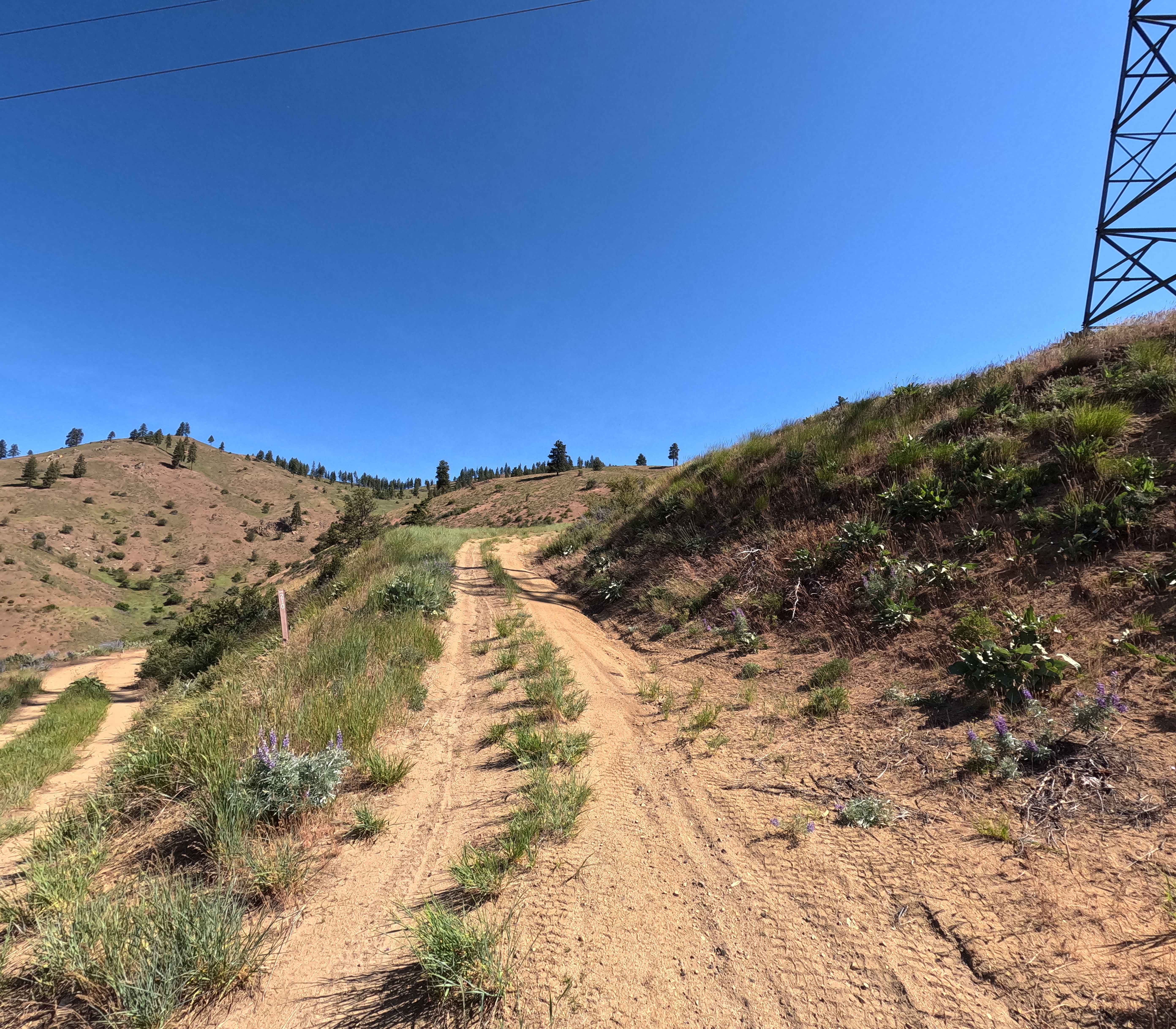 Powerline Road - FS 5303
