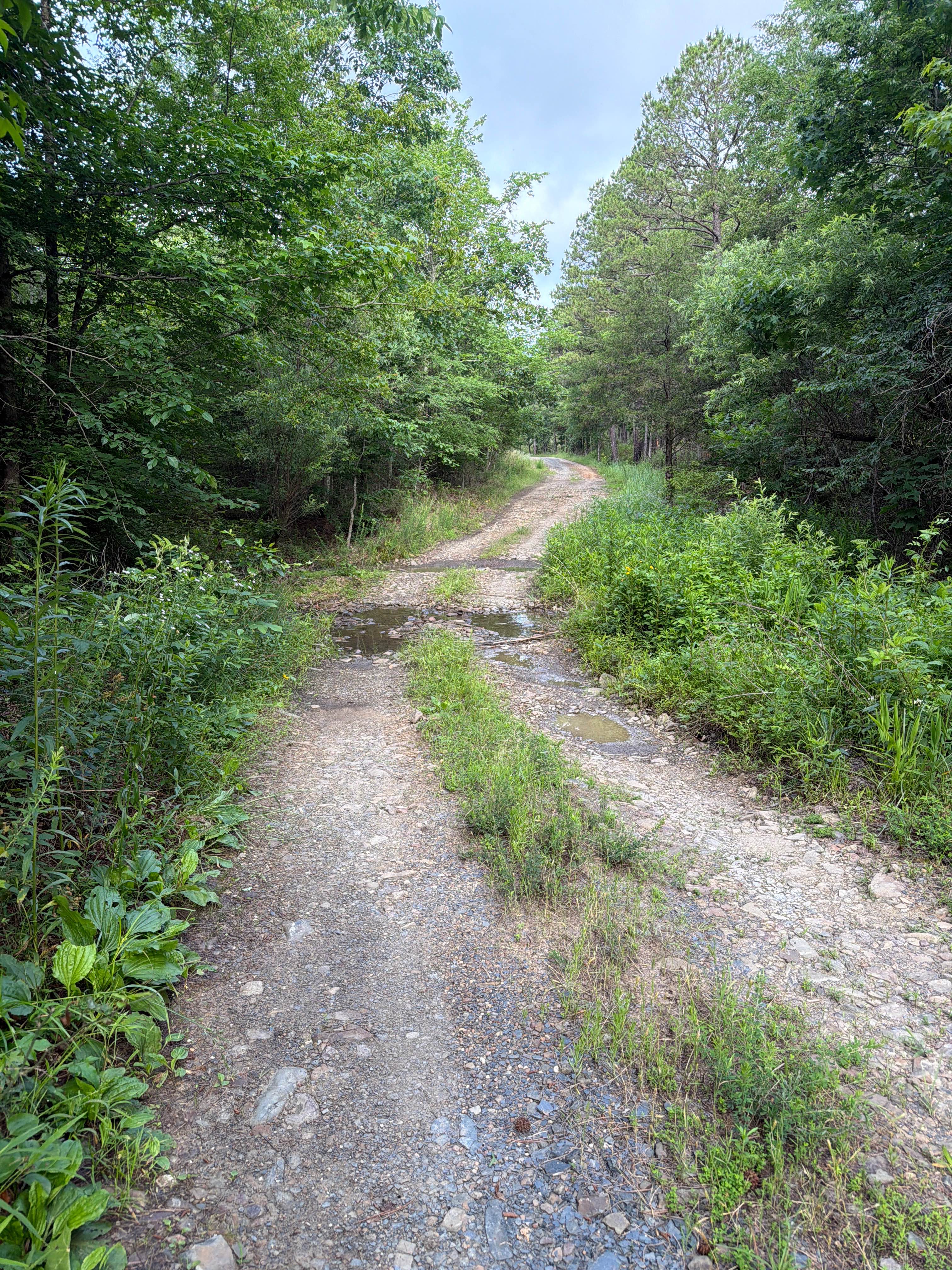 Oakwood Cemetery Road - FS 105