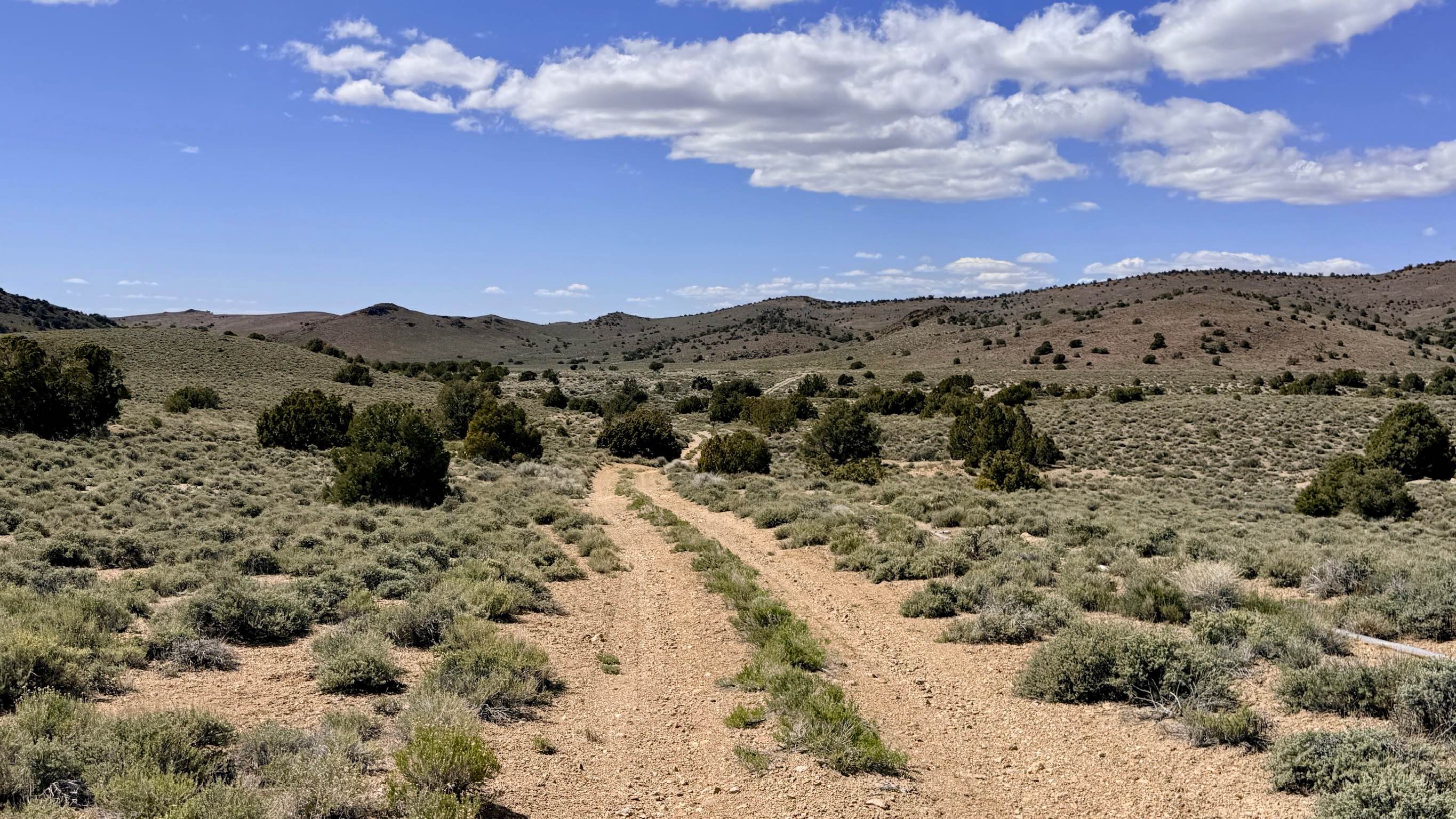 Four Mile Spring Bypass - FS 44428