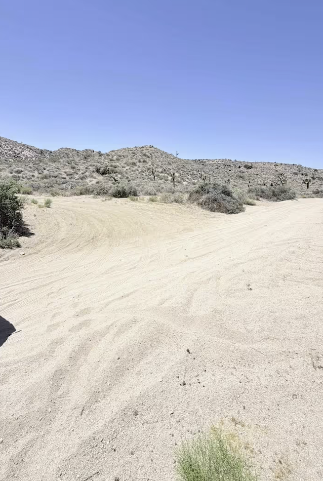 The Buzz Route - BLM 2320