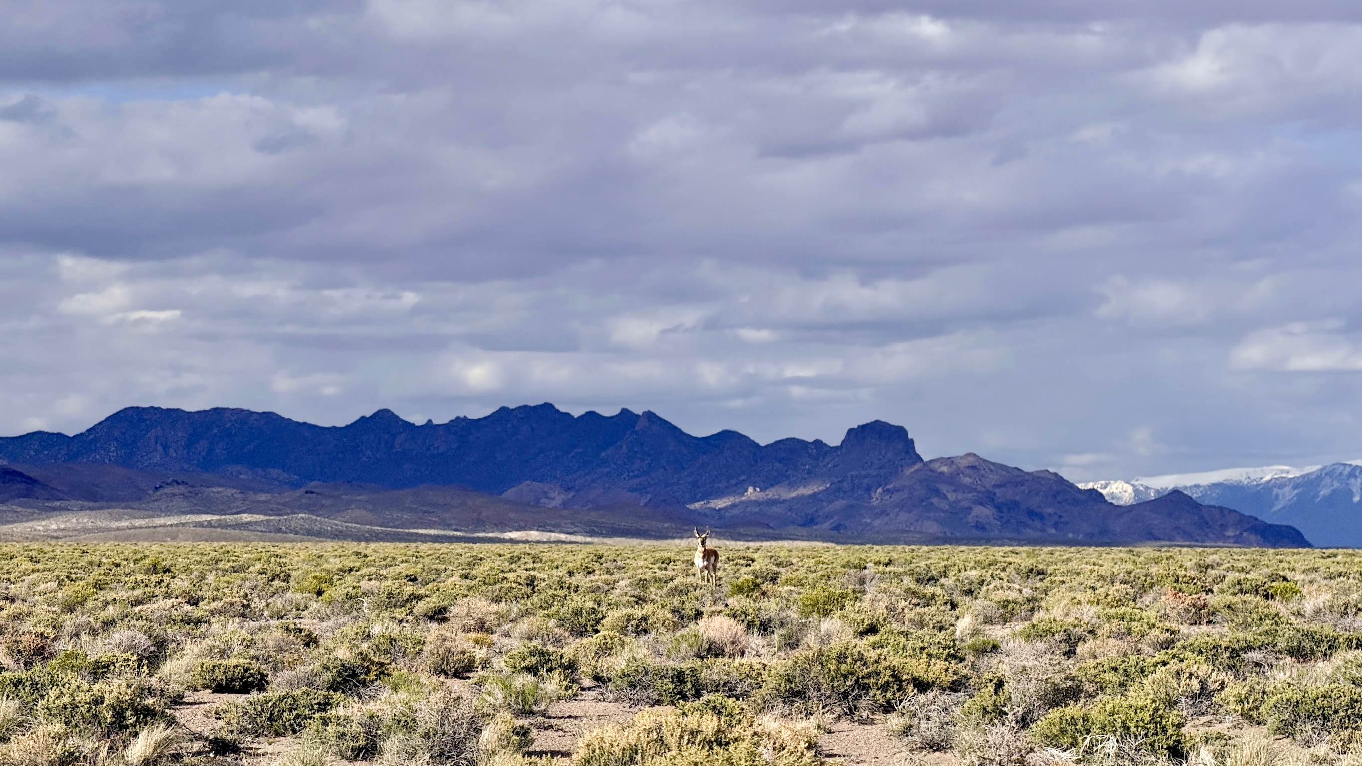Peavine Road - 12 Mile Road