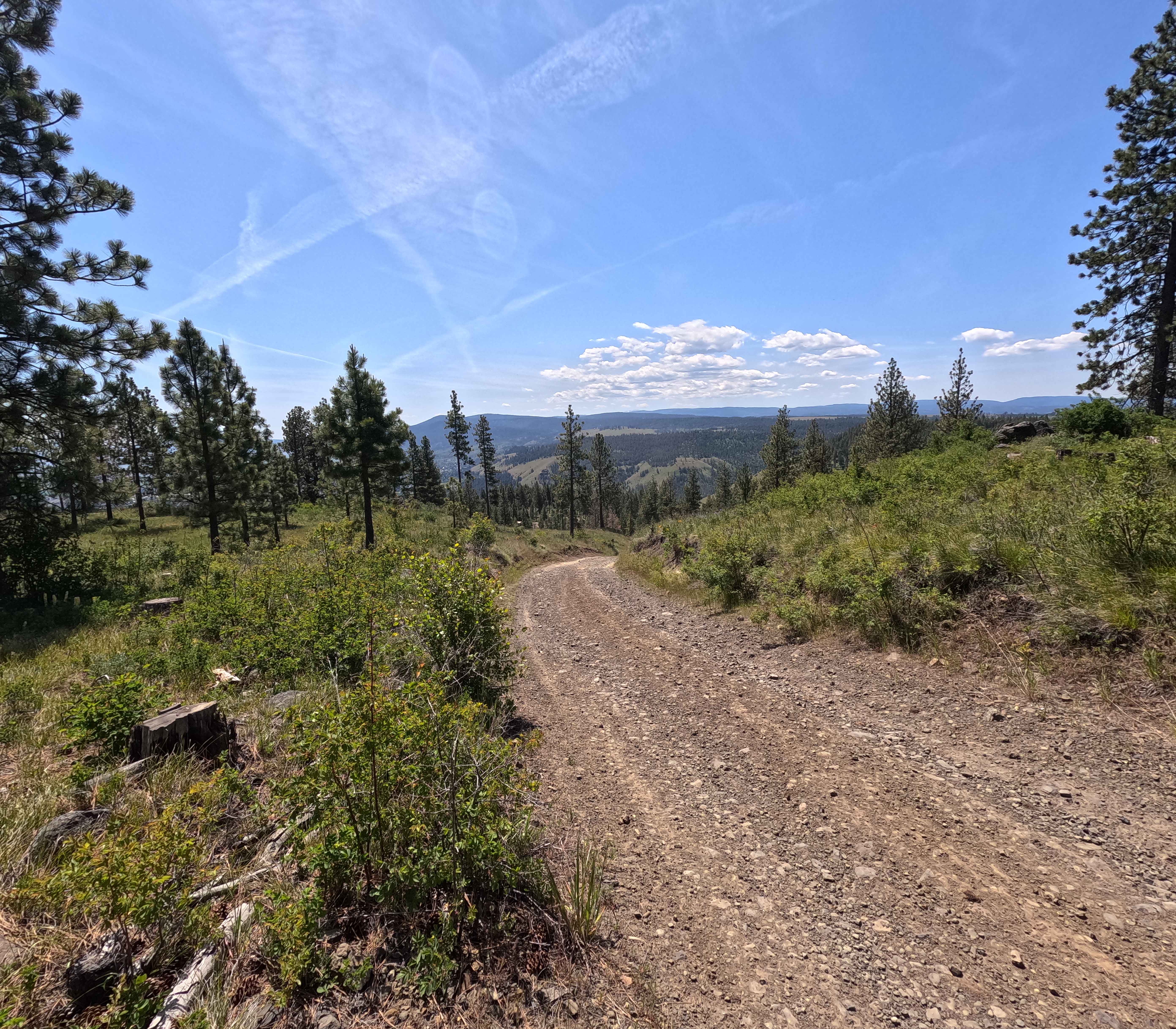 Mainline - Trail 201