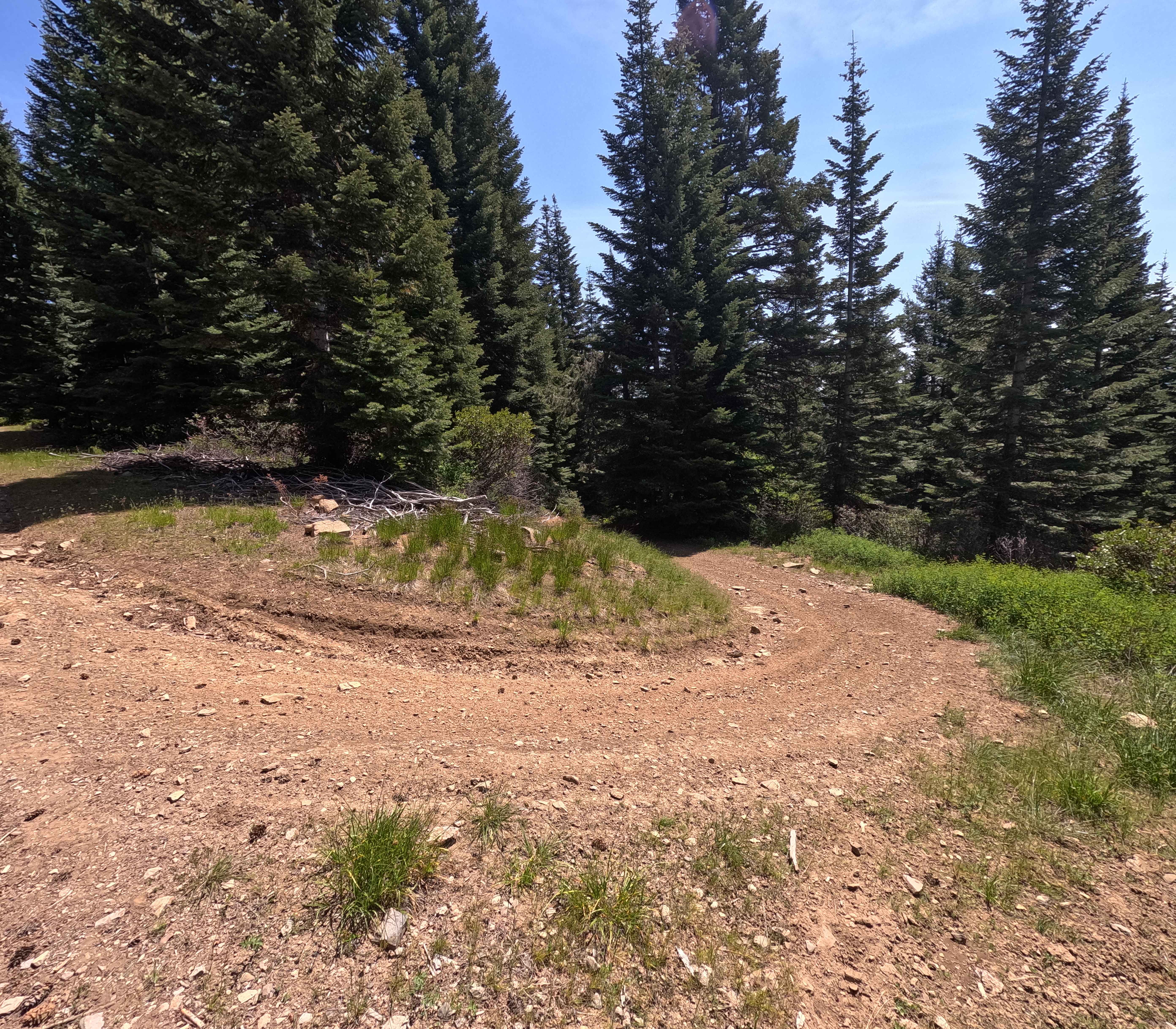 Old Mill - Trail 207