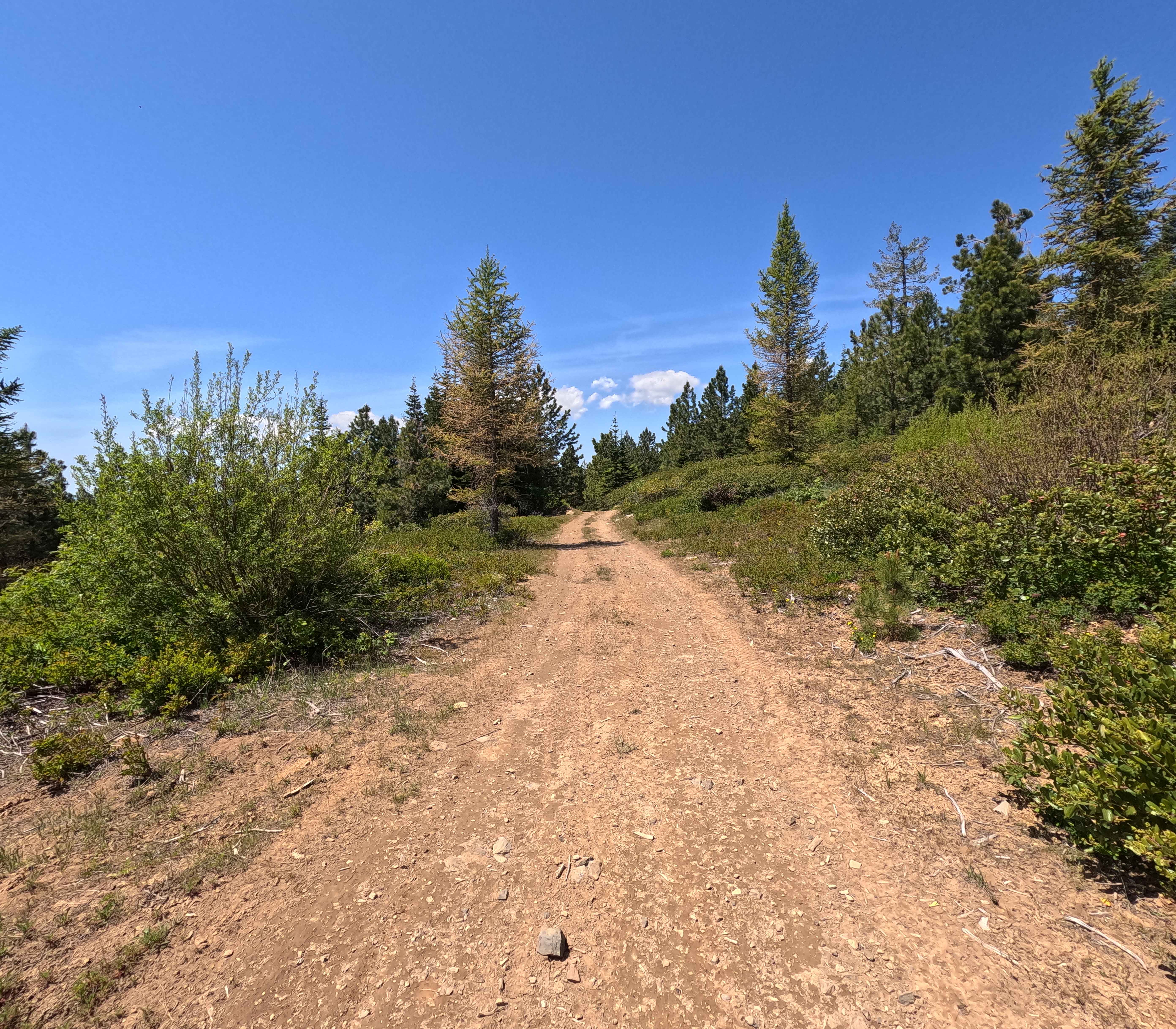 Old Mill - Trail 207