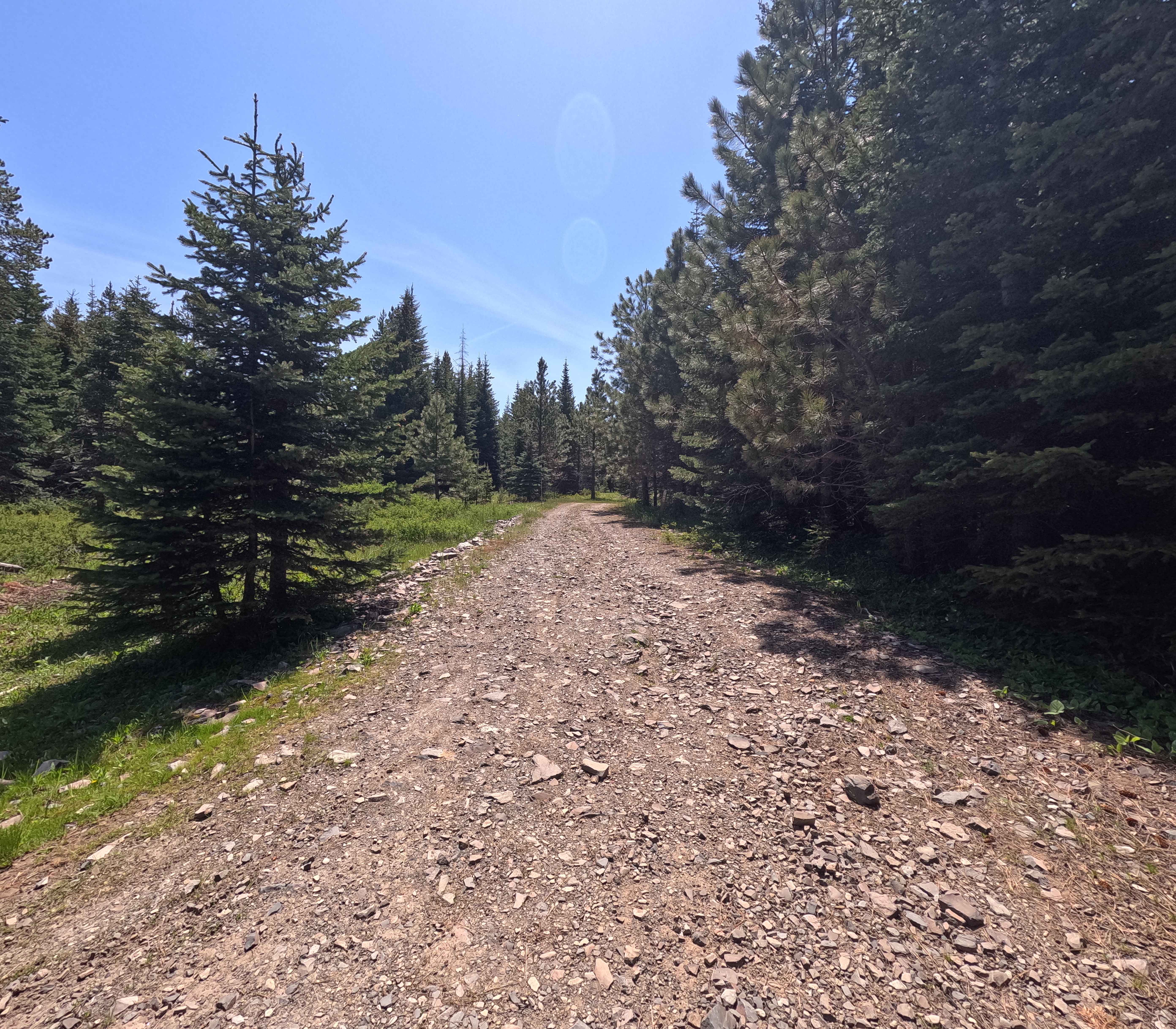 Hawk Eye - Trail 206