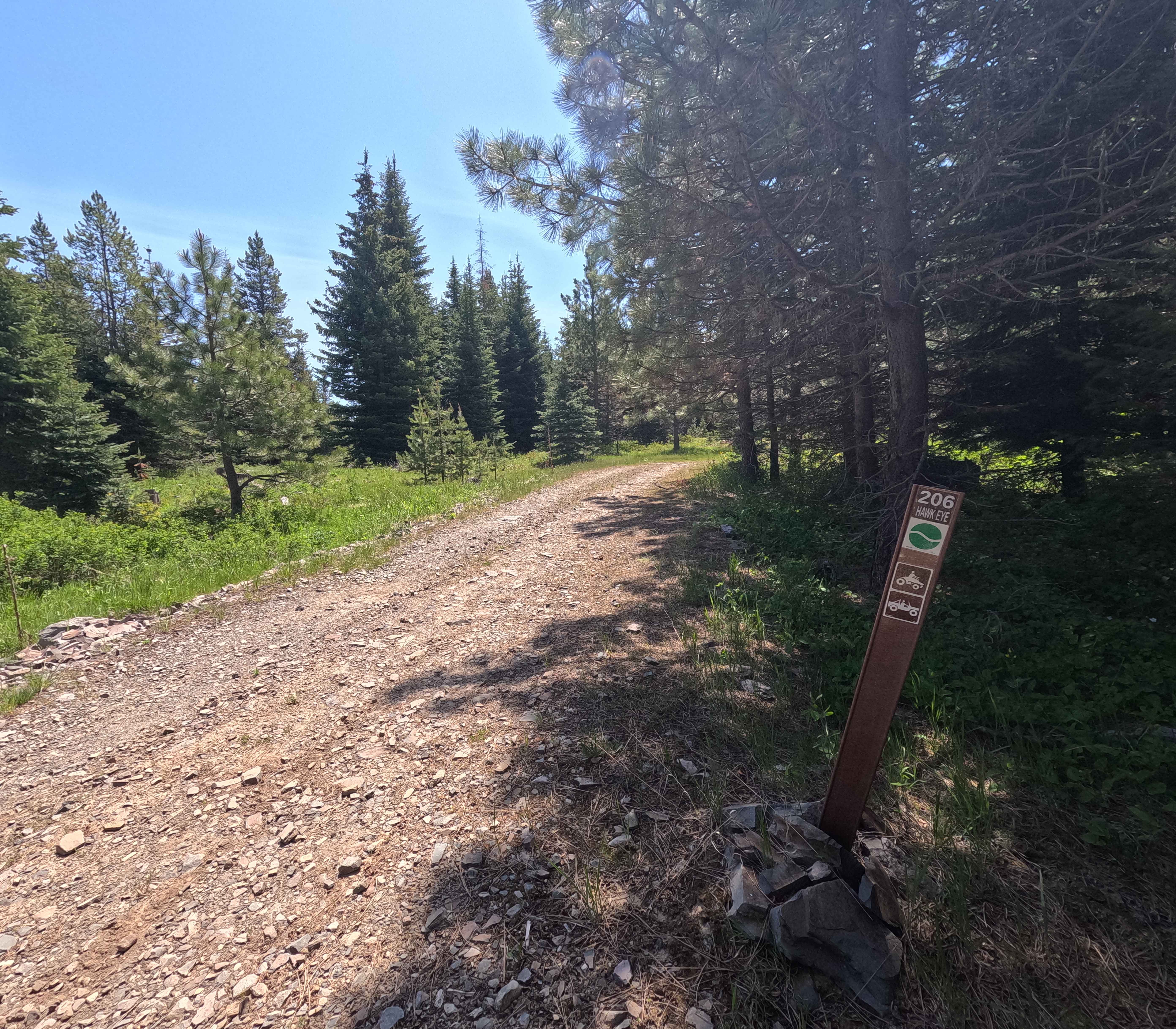 Hawk Eye - Trail 206