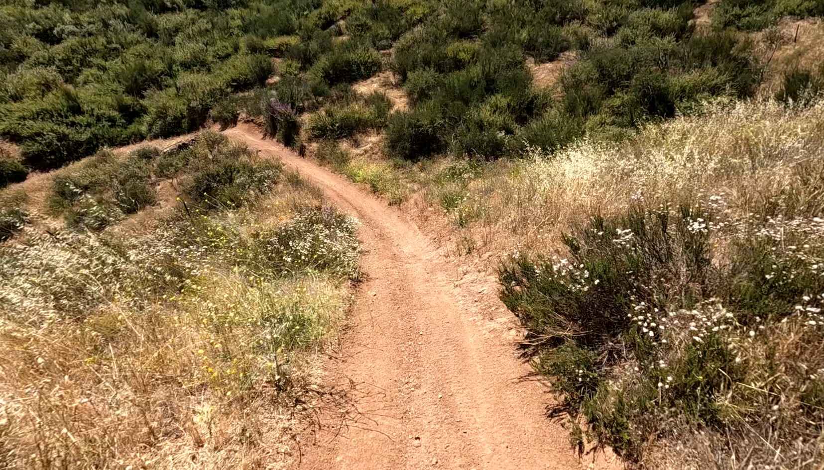 Spring OHV Trail