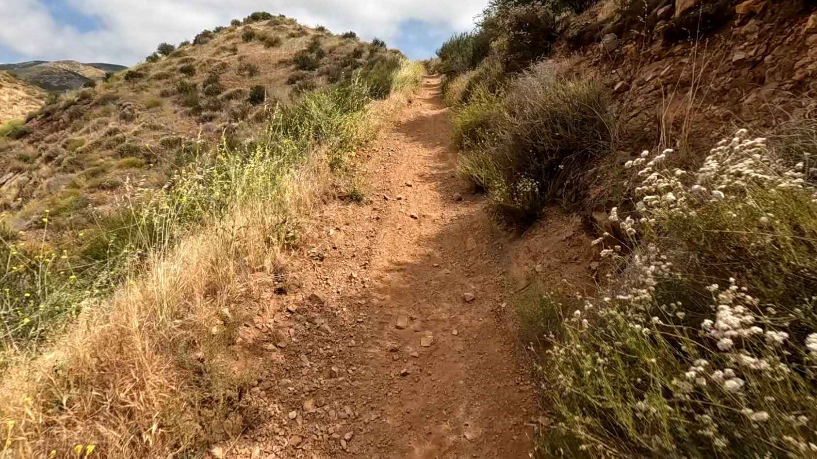Mine OHV Trail