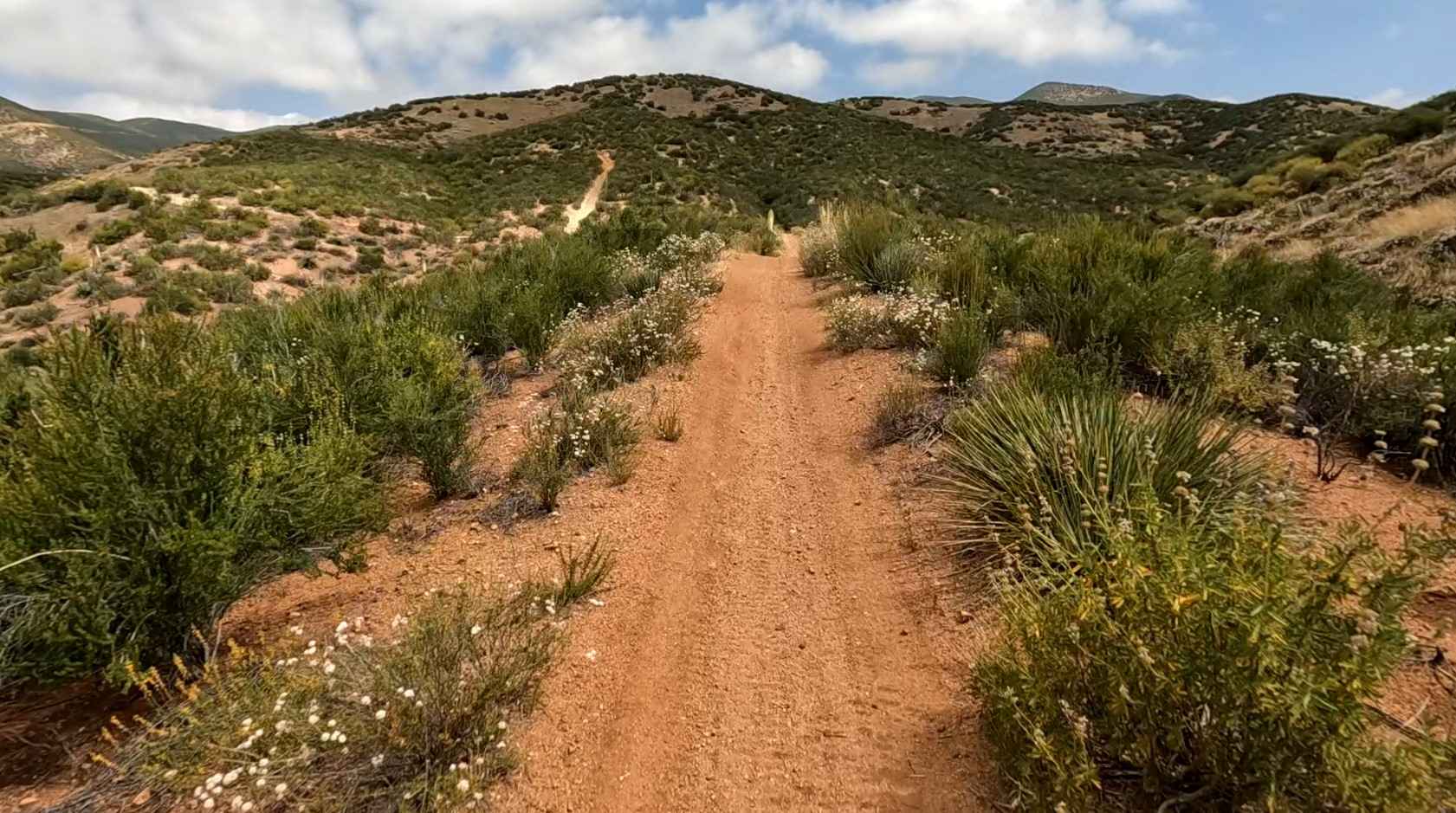 Broken Spoke OHV Trail