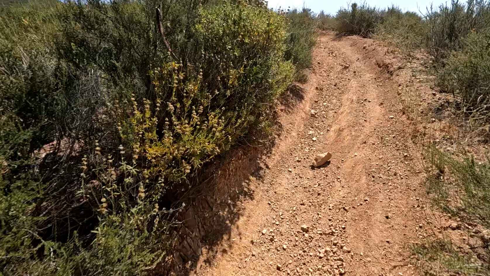 Coyote OHV Trail