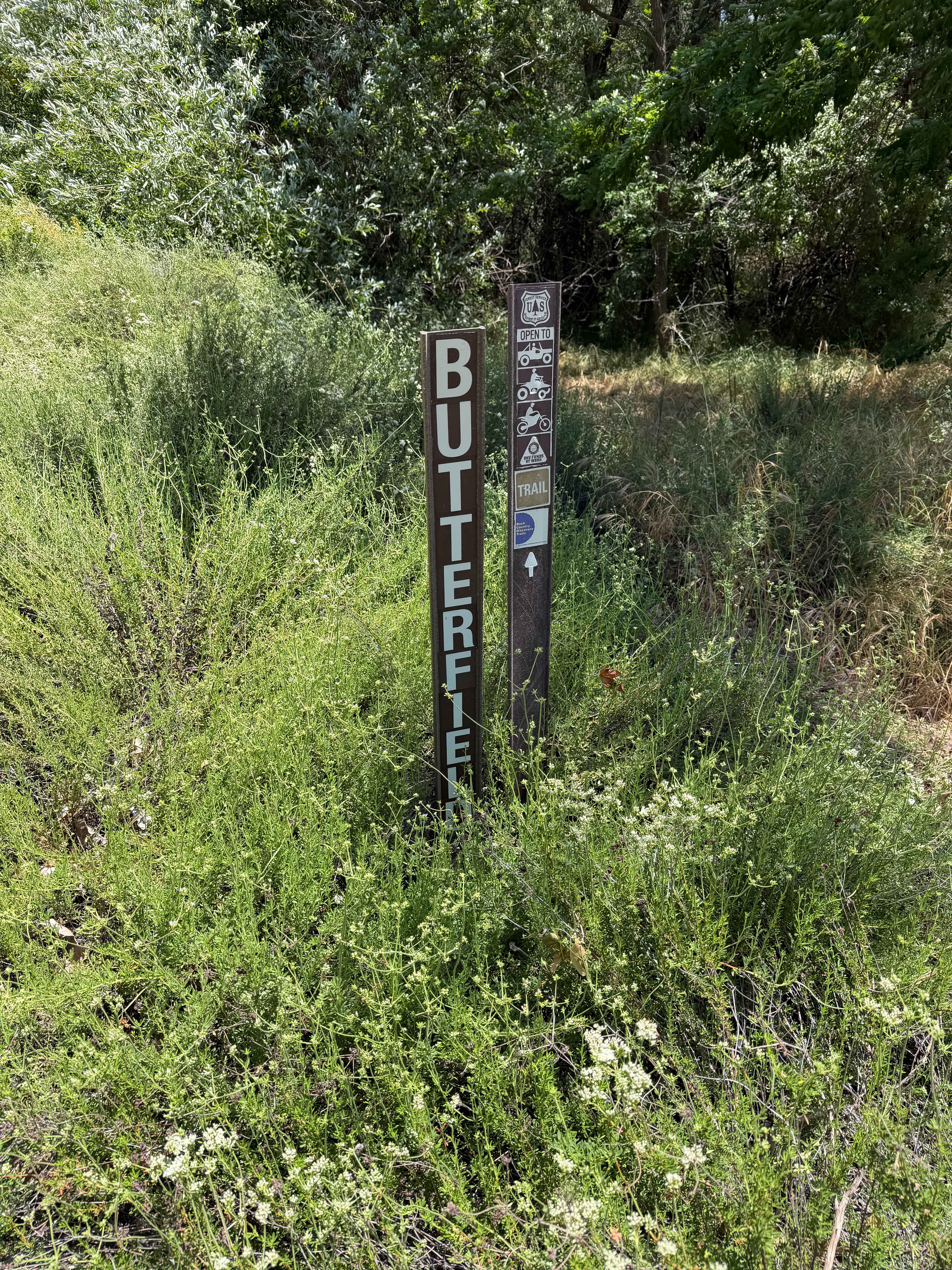 Butterfield