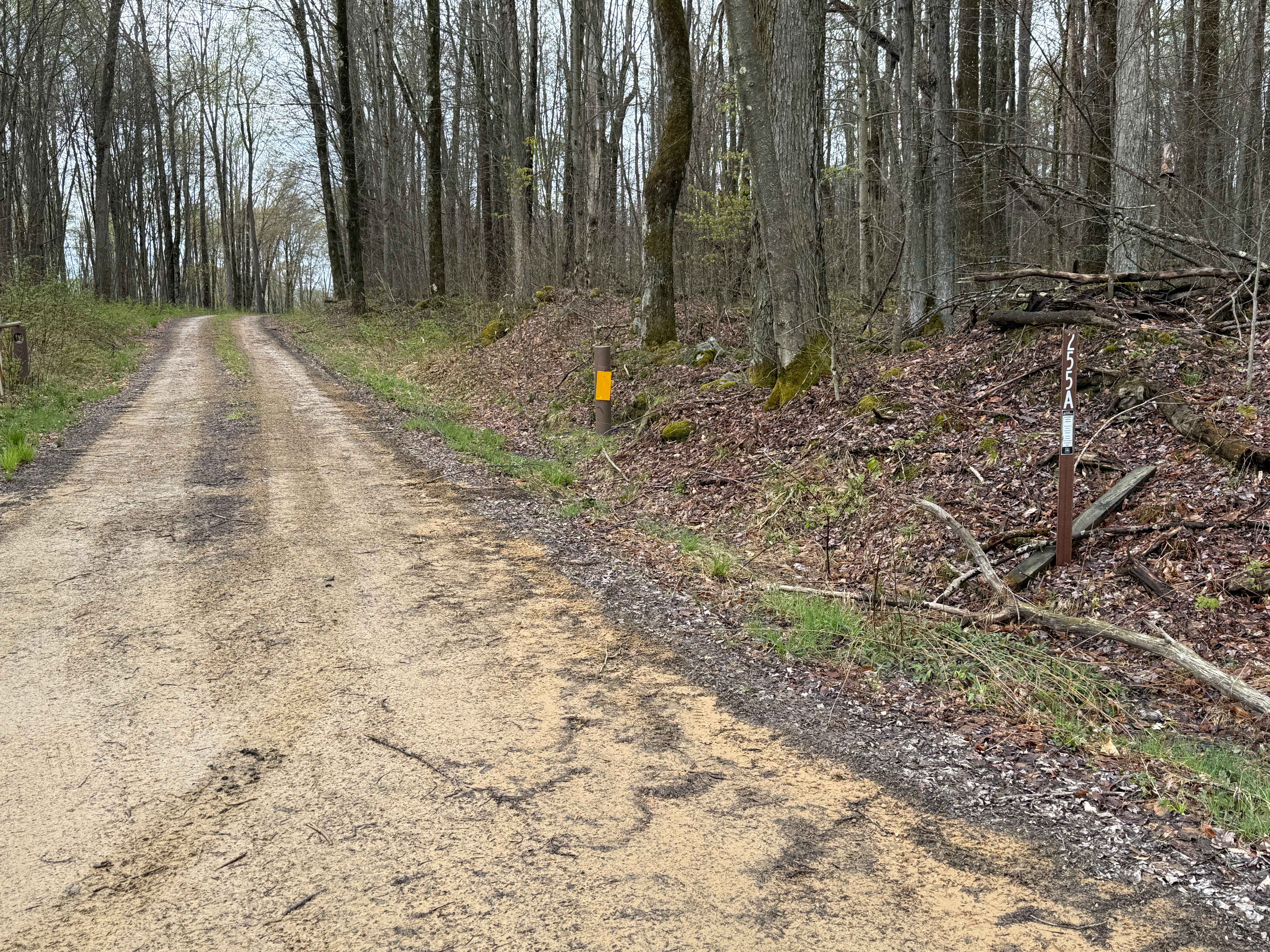 Fools Creek A - FS 255A