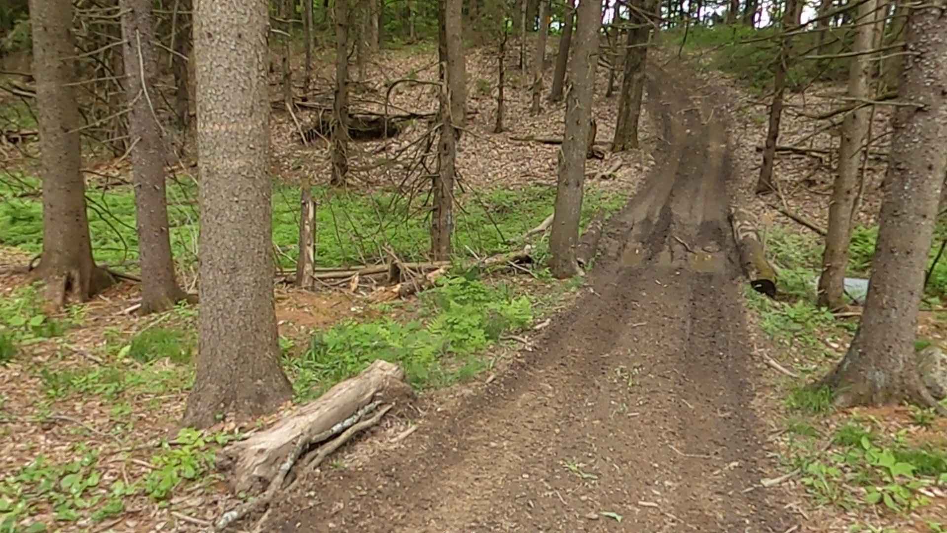 Lewis County Area A - Blue Trail