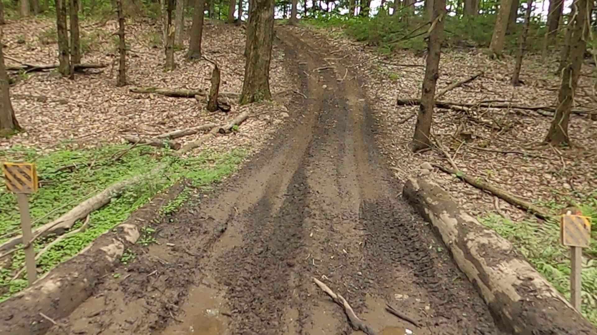 Lewis County Area A - Blue Trail