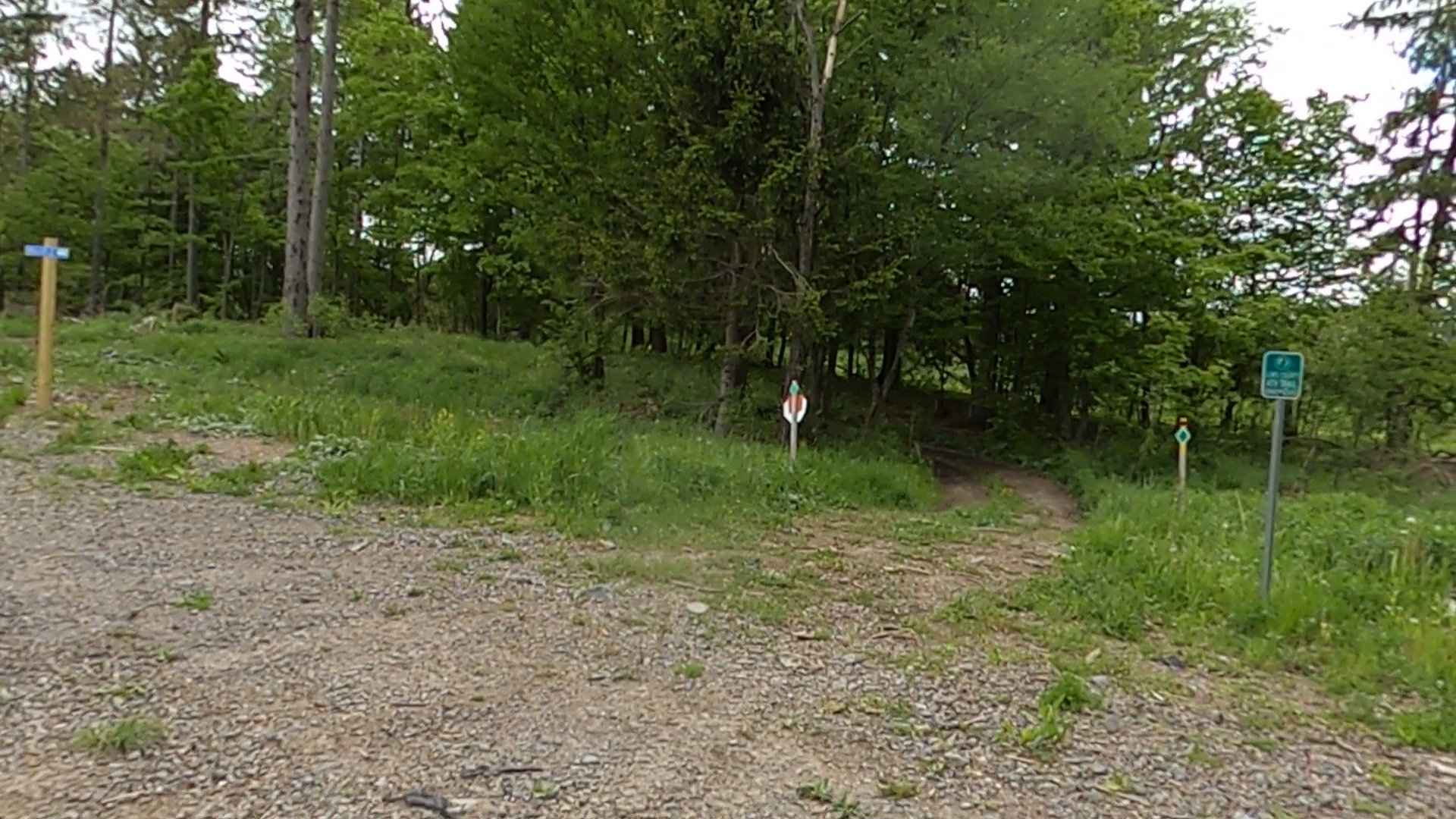 Lewis County Area A - Green Trail