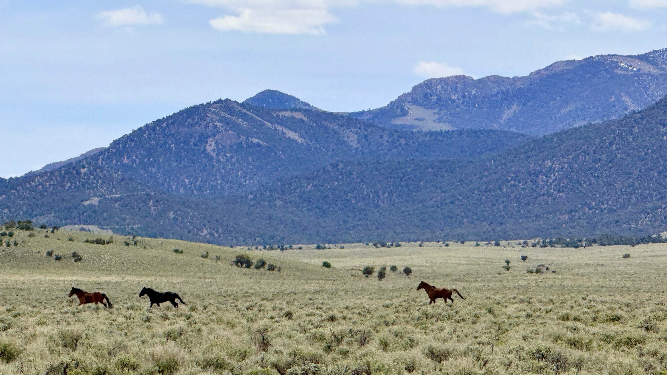 Stonebridge Connector - BLM138