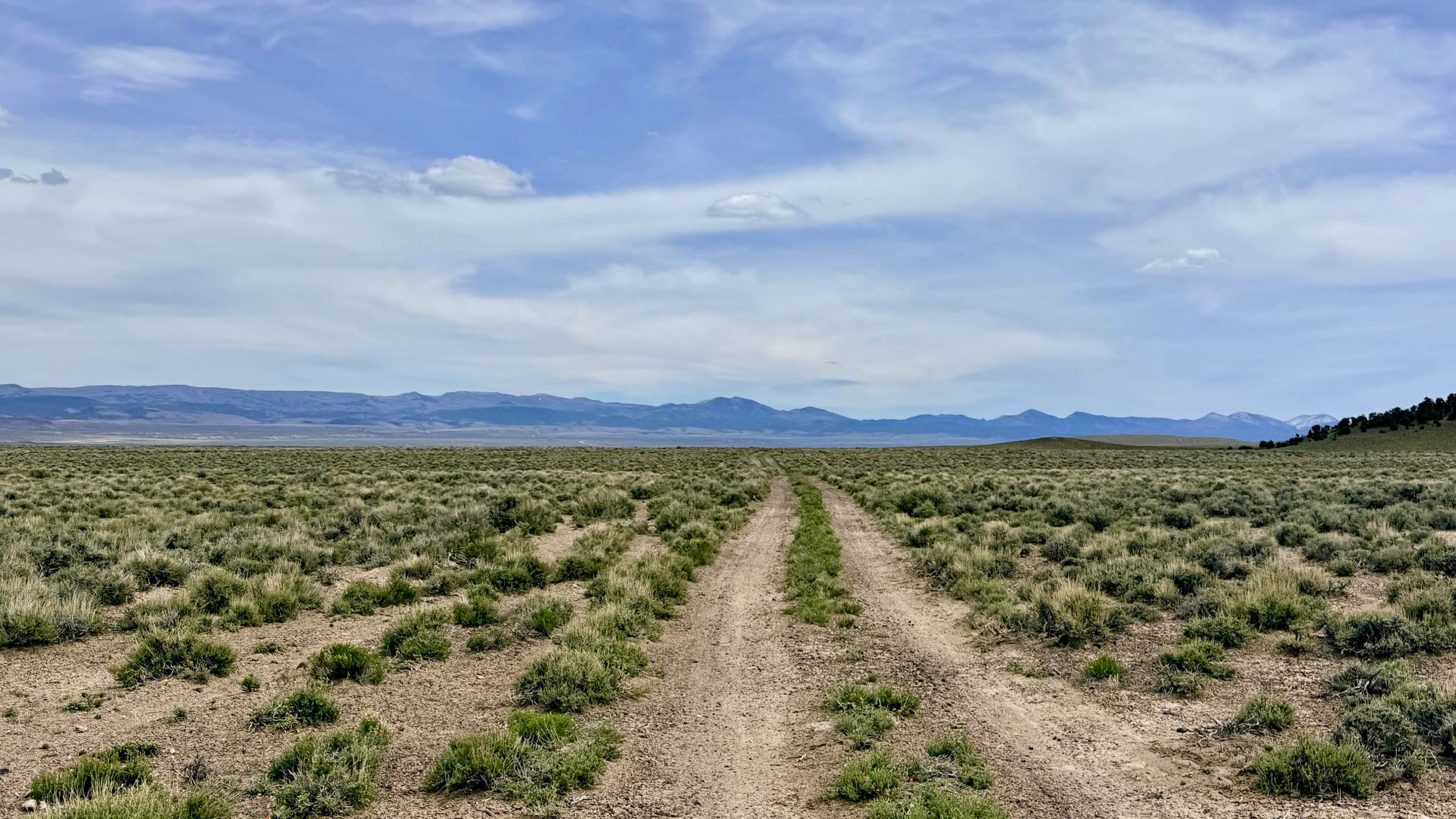 Stonebridge Connector - BLM138