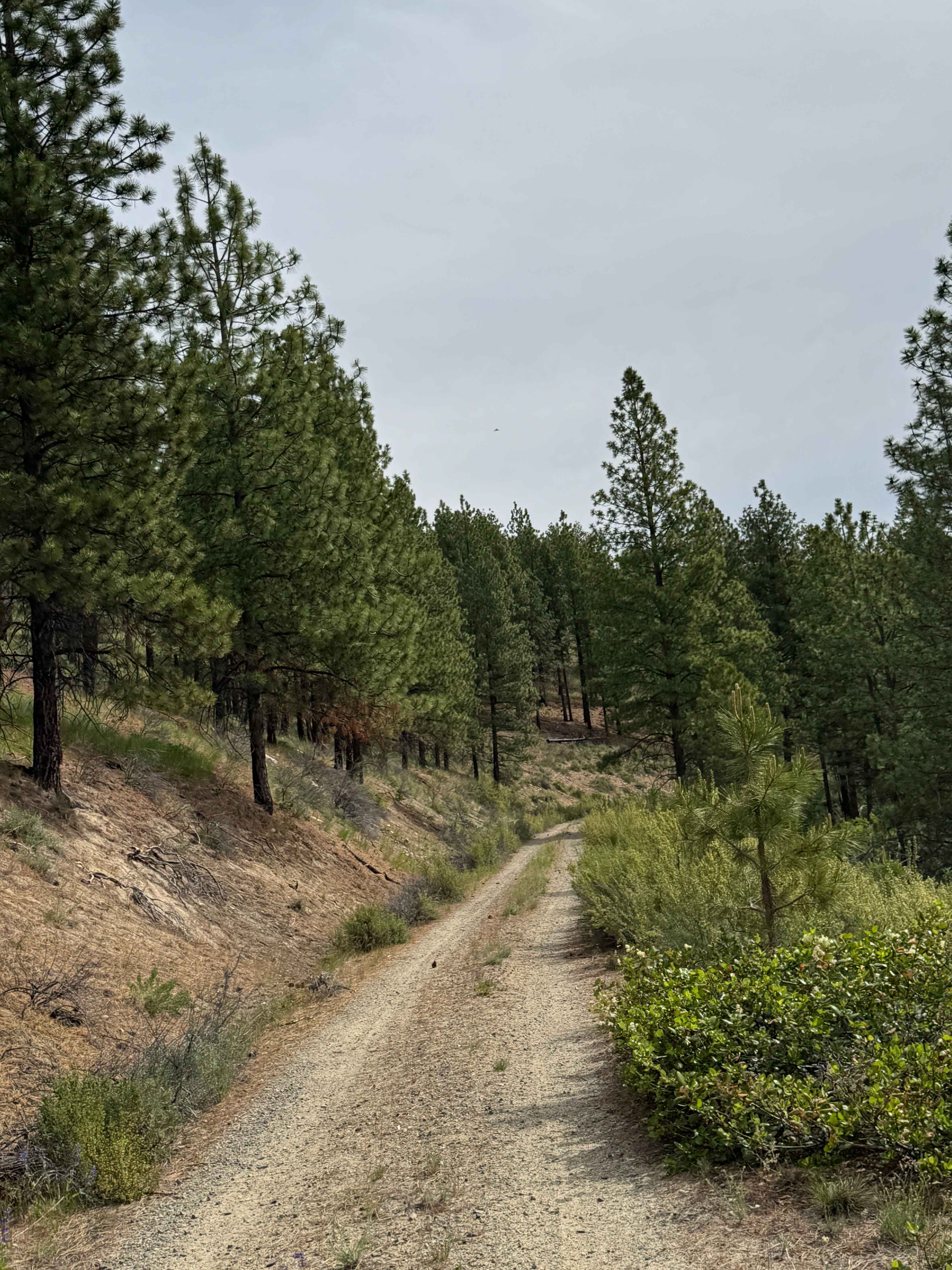 Washington Butte Trail