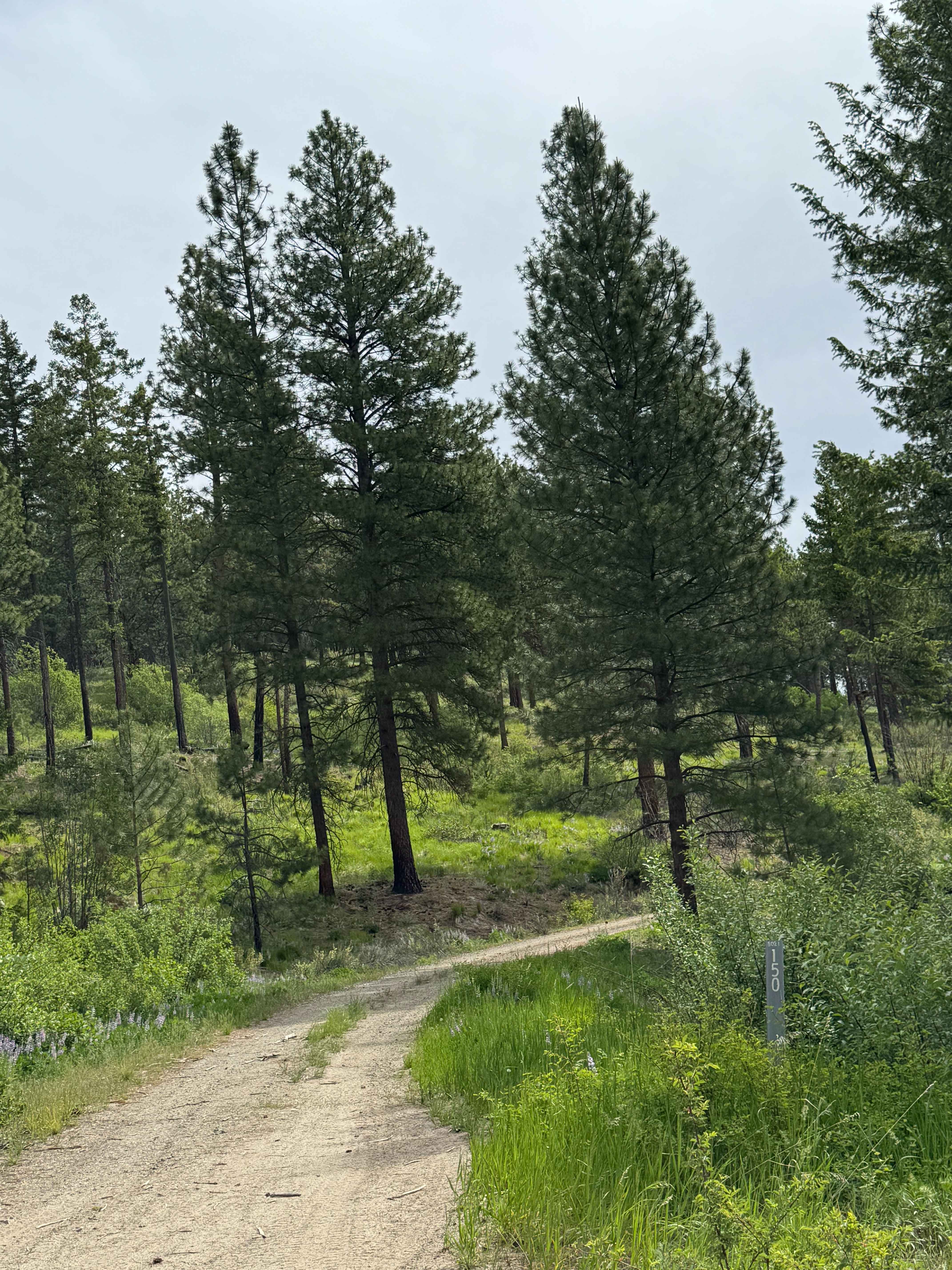 Washington Butte Trail
