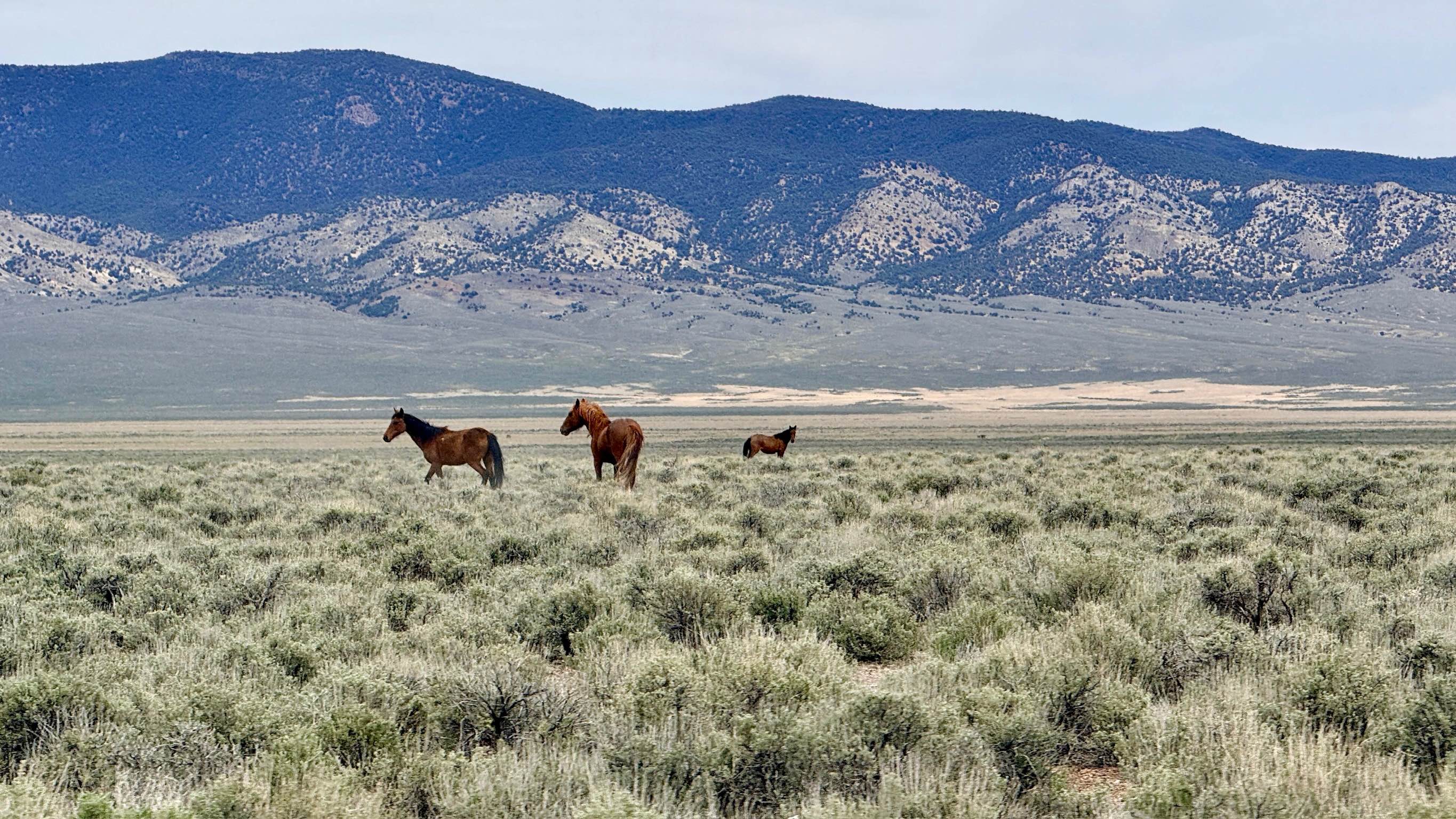 Monitor Valley Road