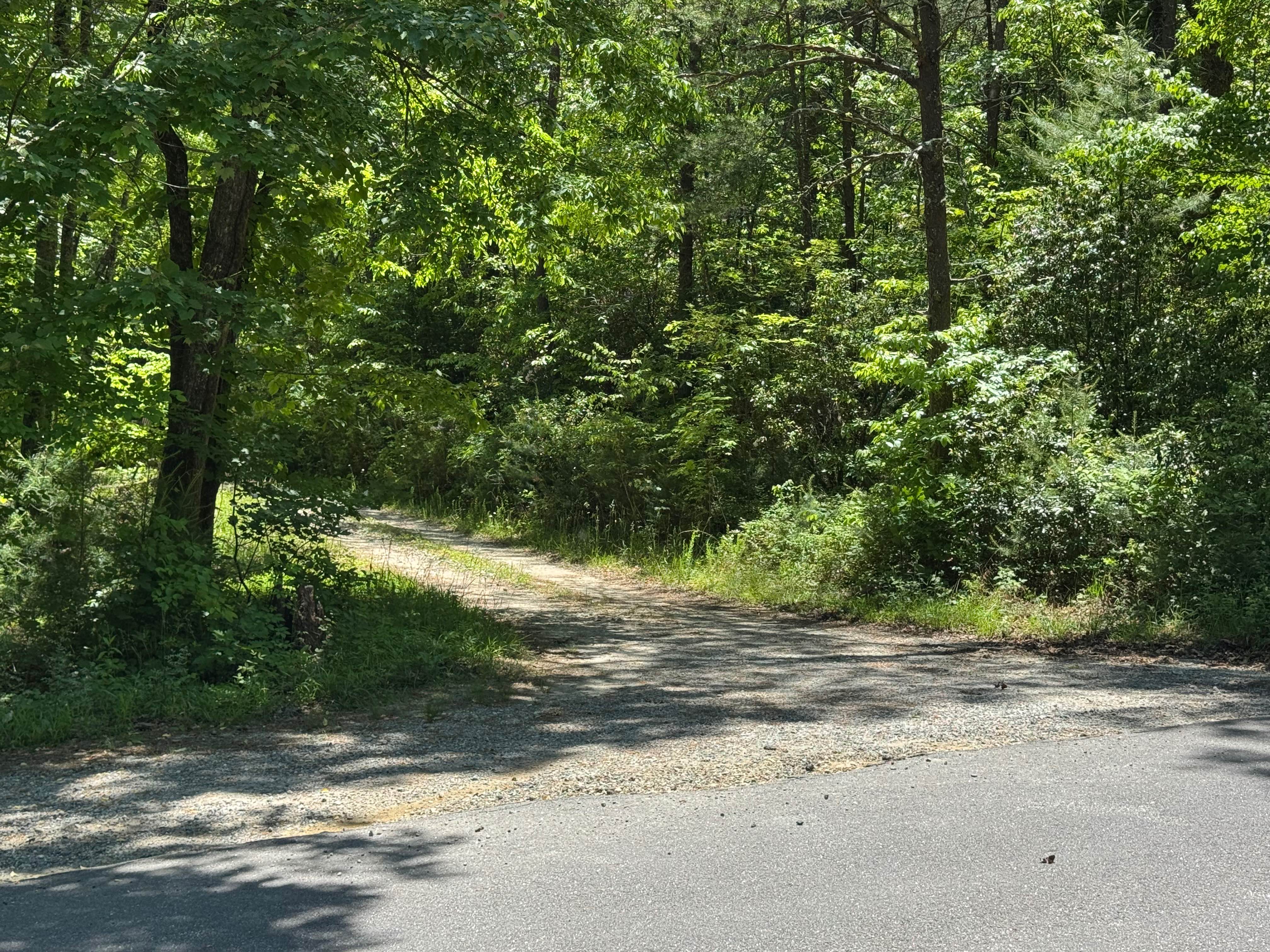 Laurel Branch - FS 322