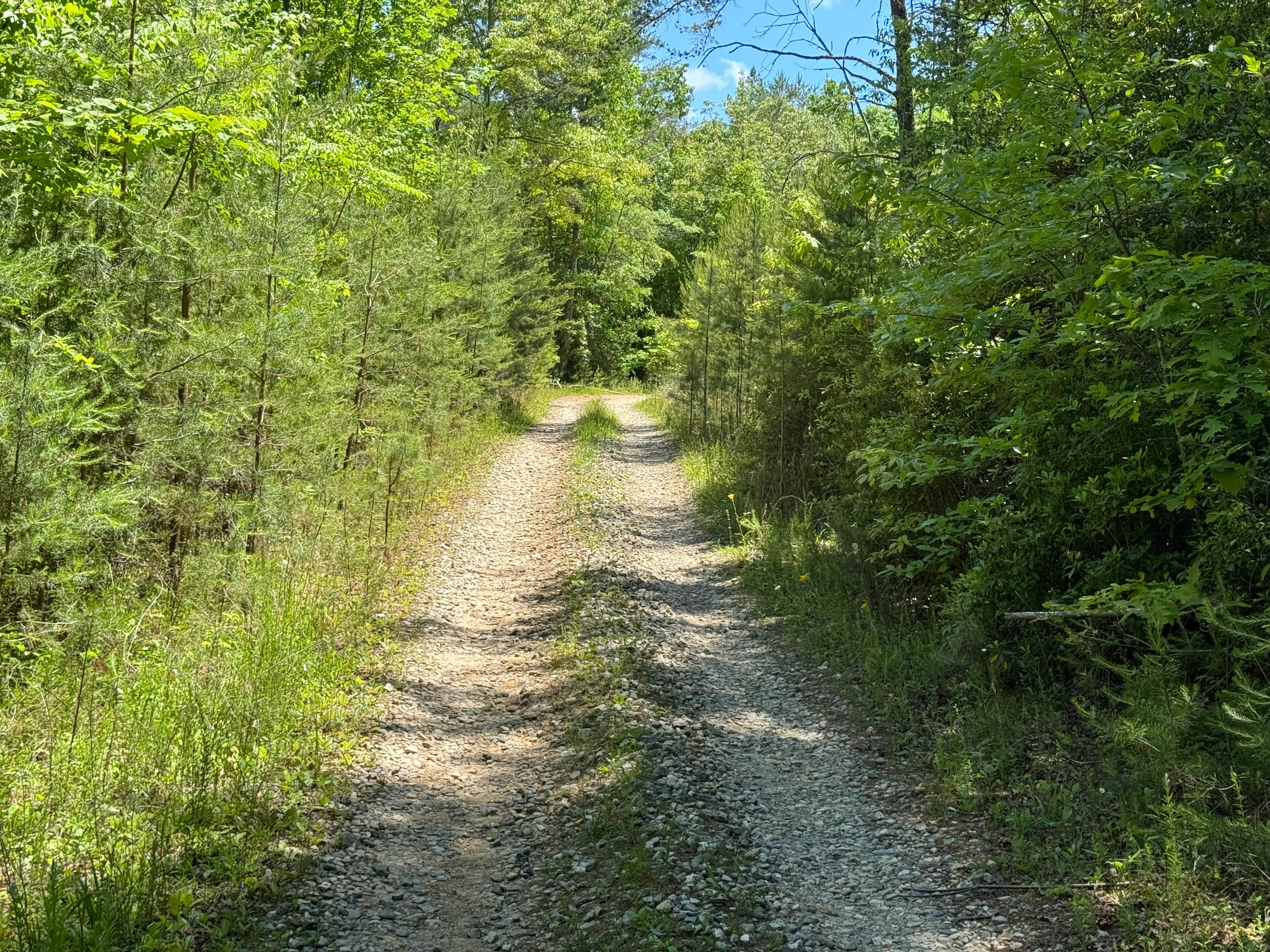 Laurel Branch - FS 322