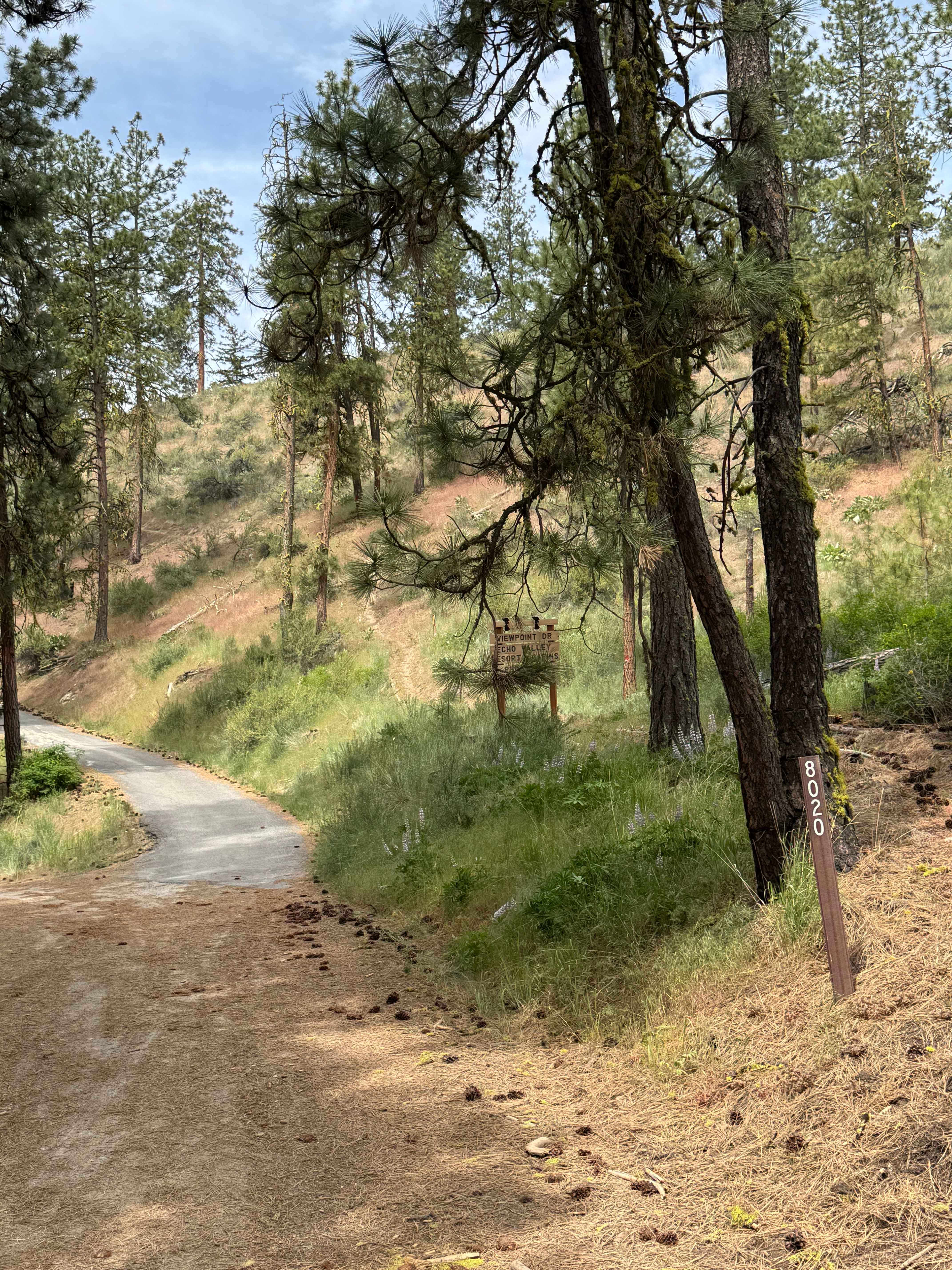 Cooper Mountain Road Southwest - FS 8020