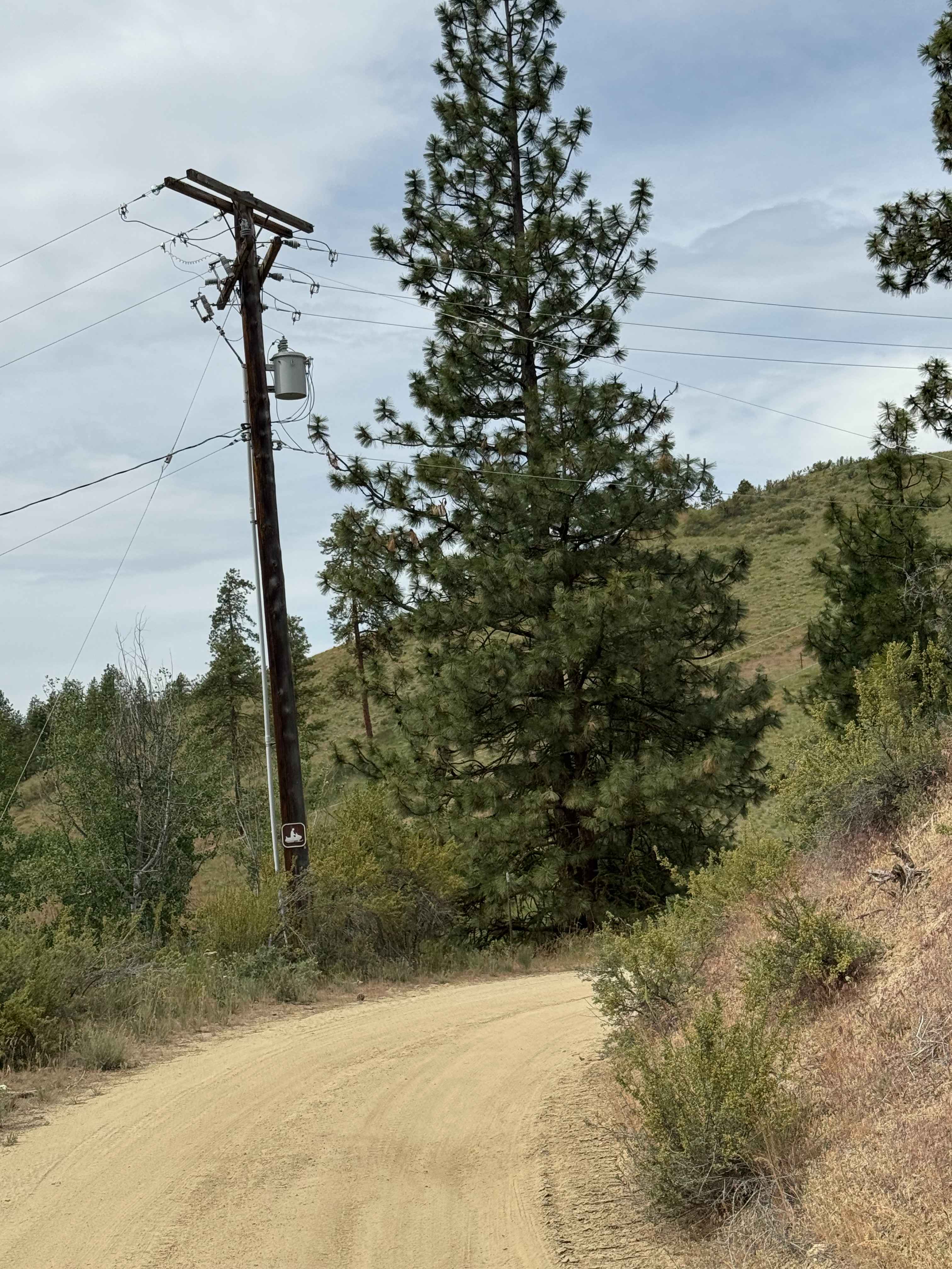 Cooper Mountain Road Southwest - FS 8020