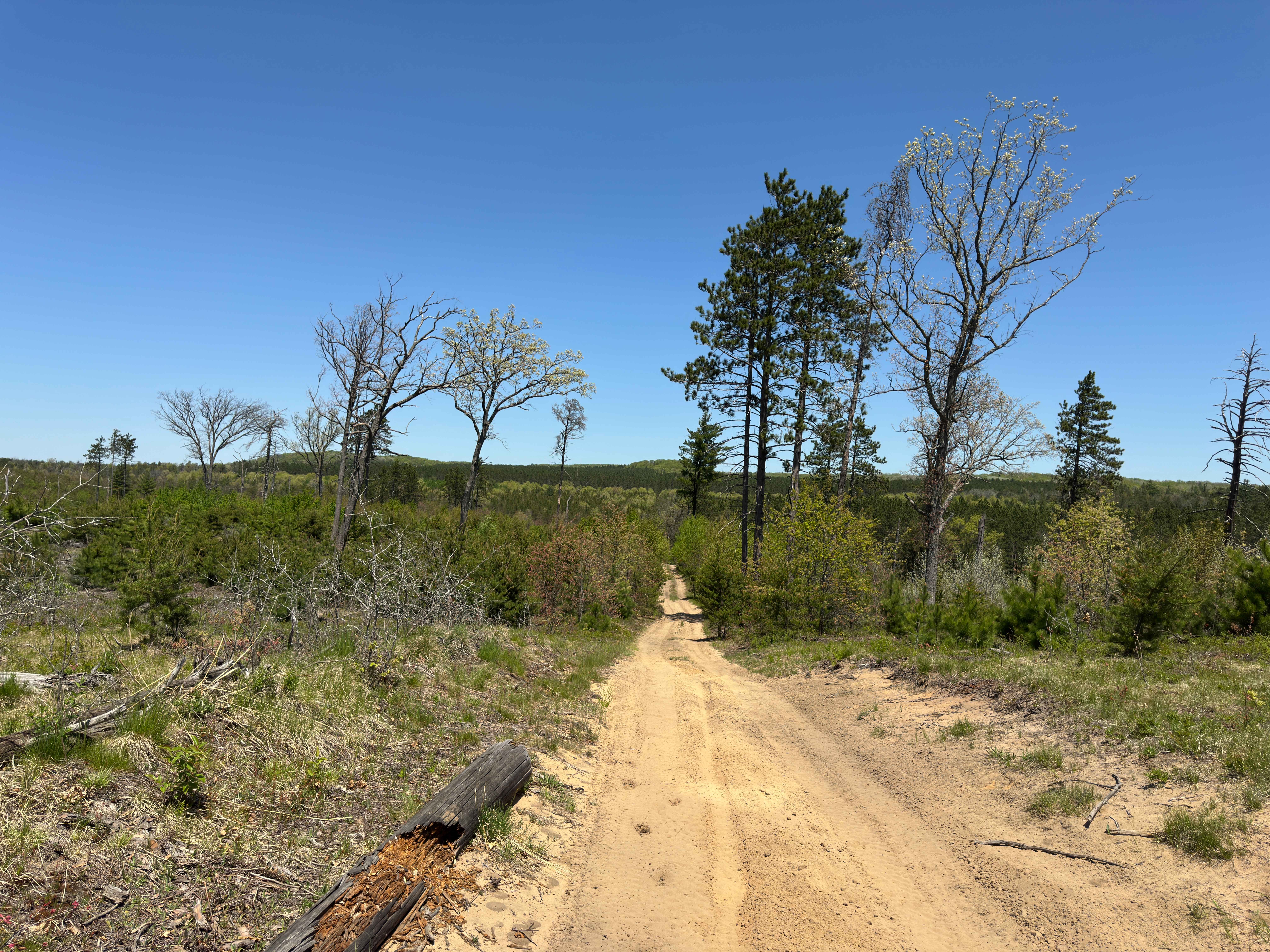 Hippie Circle Trail