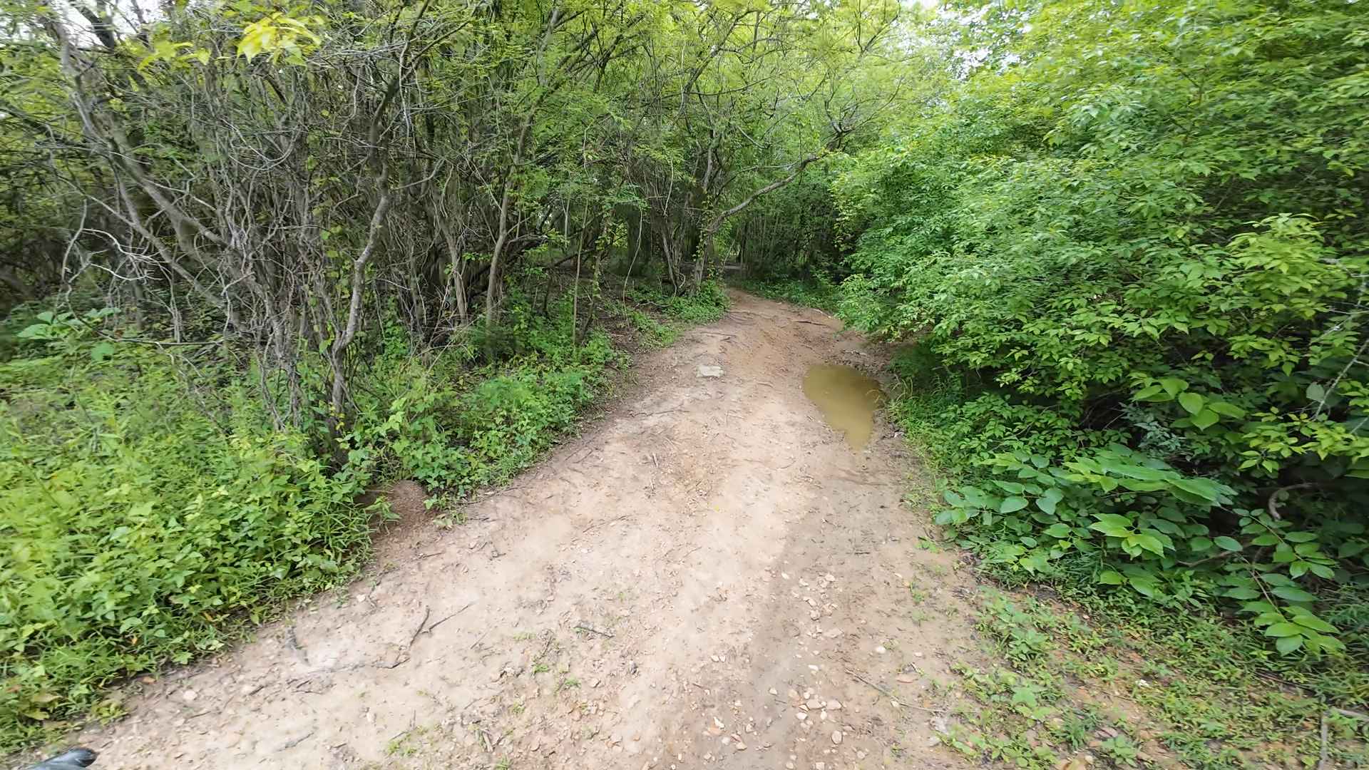 Burnett Trail