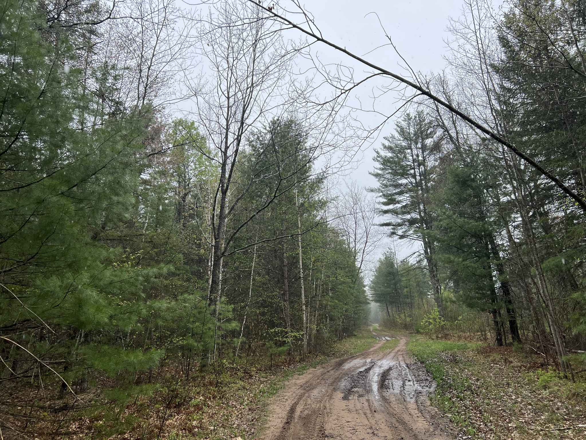 Sawbuck Road - FS 2302
