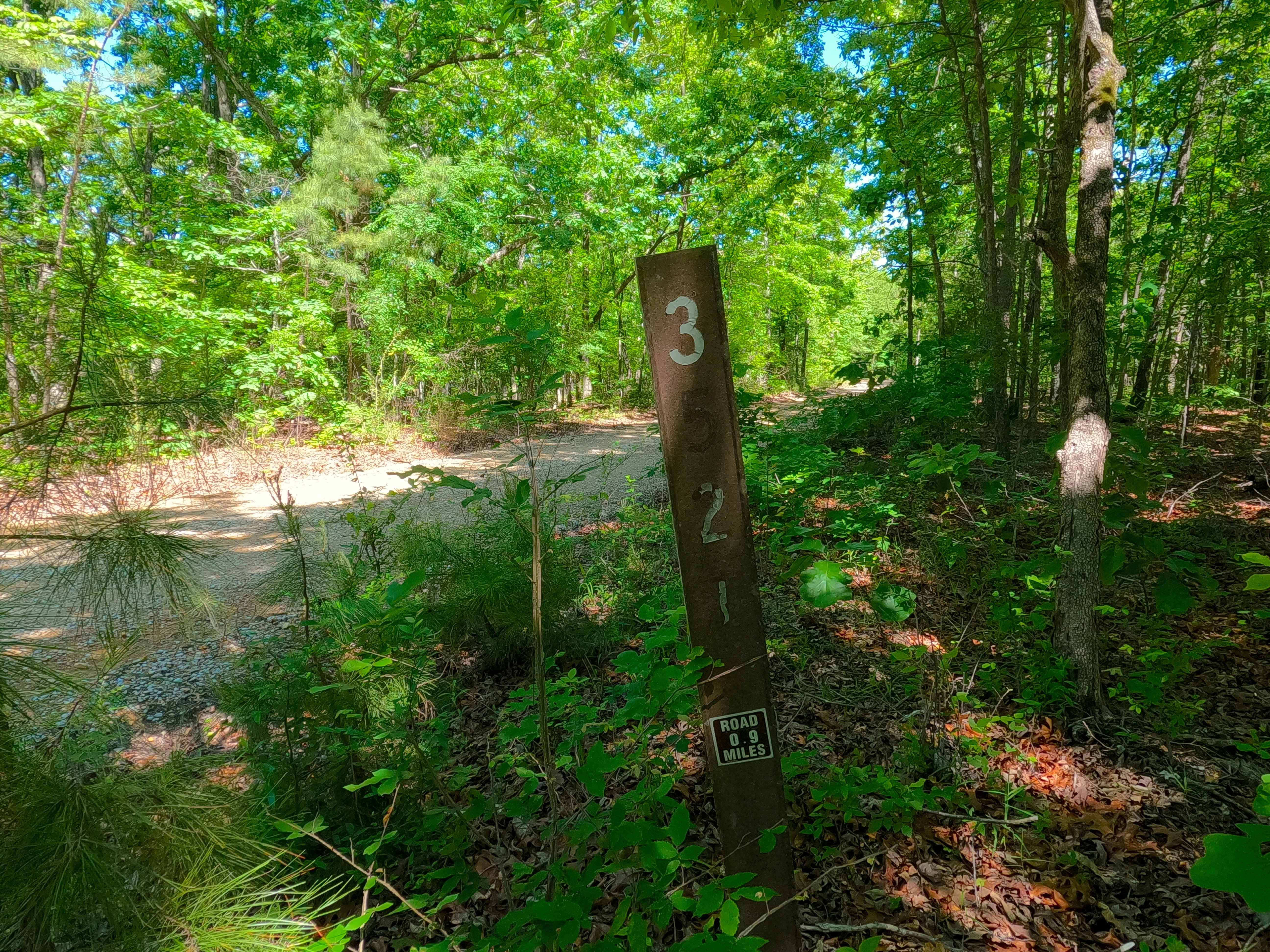 Bradley Ridge - FS 3521