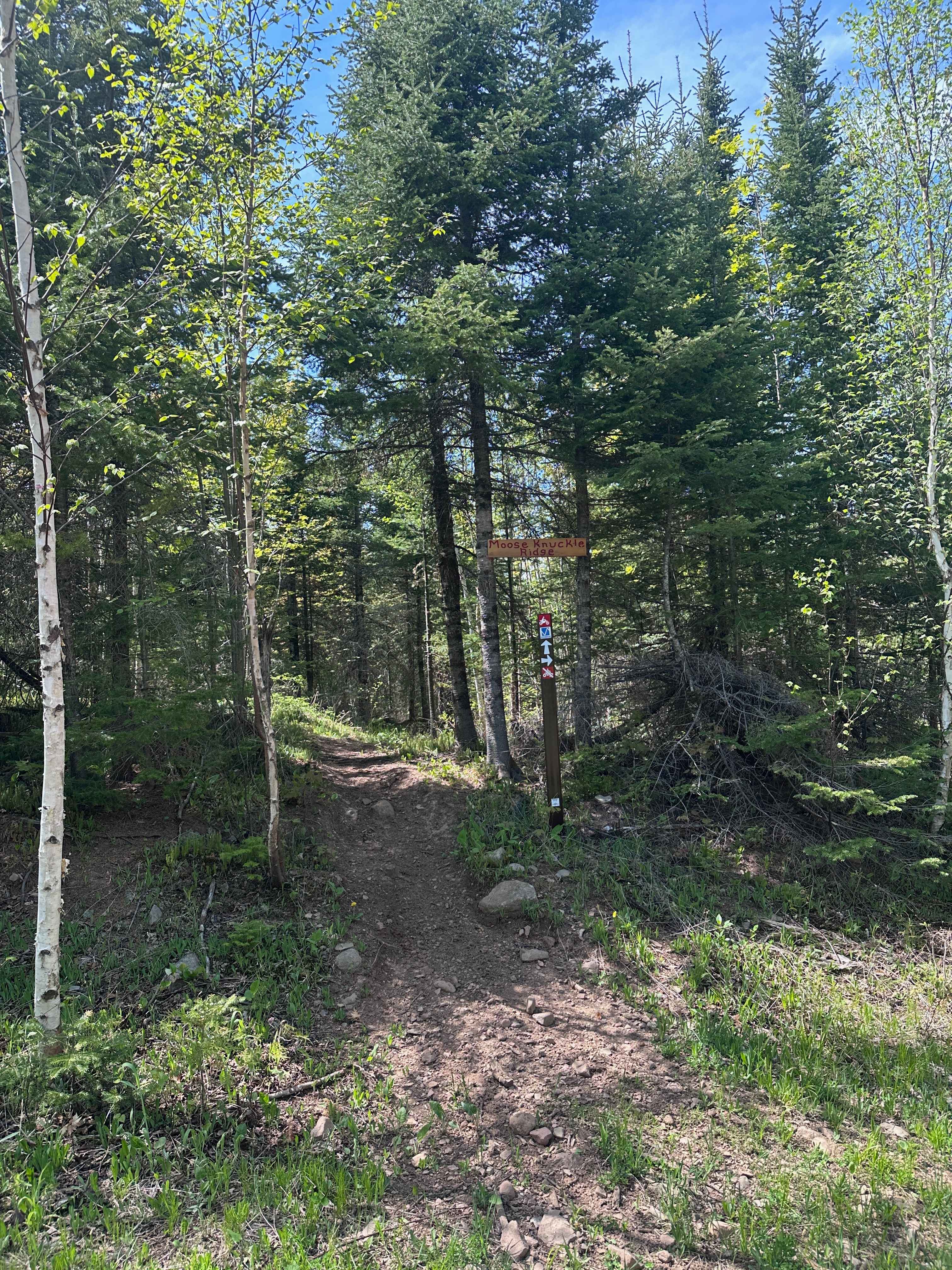 Moose Knuckle Ridge (M25 Section 3)