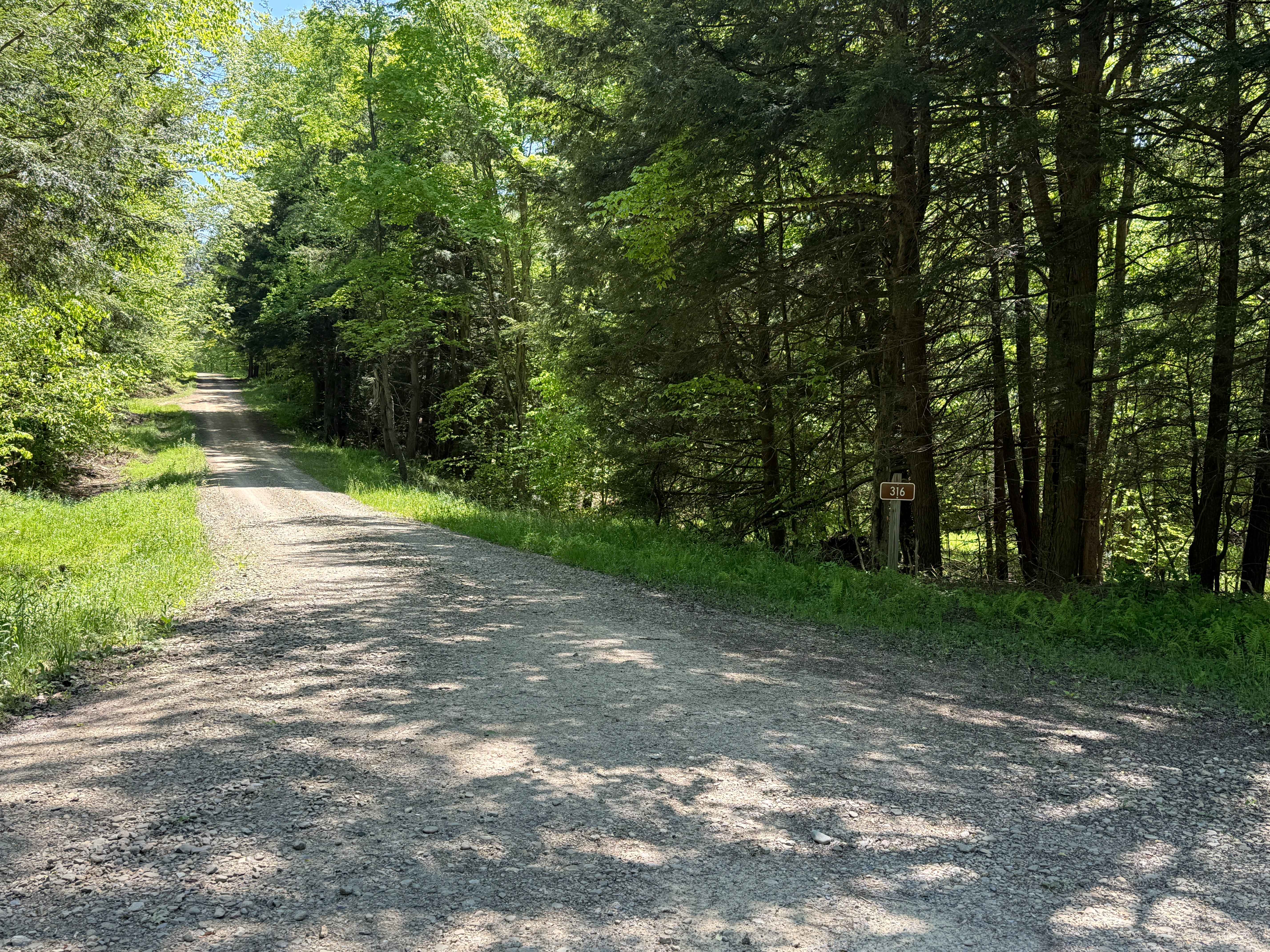 Townline Run - FS 316