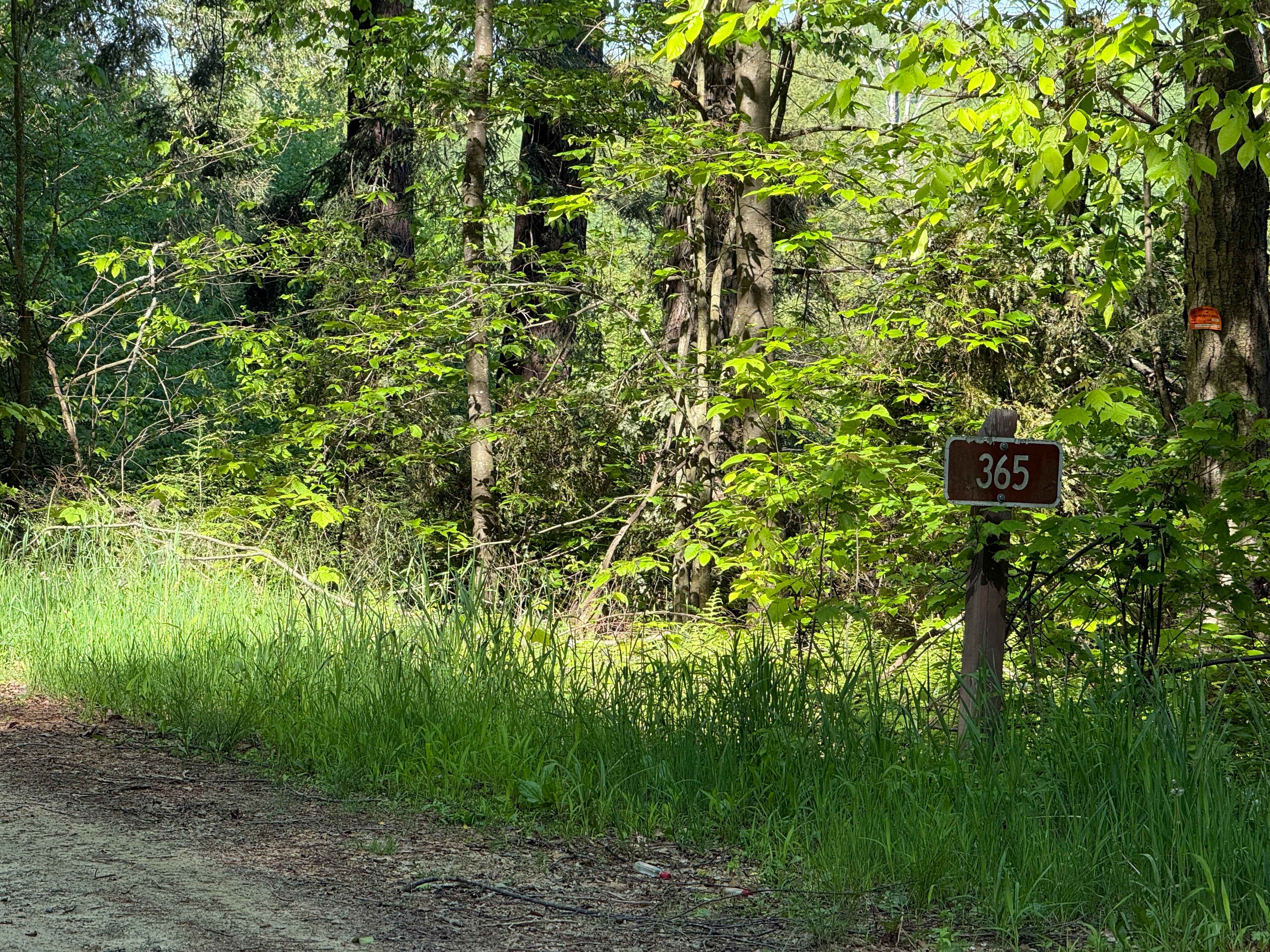 Fourmile - FS 365