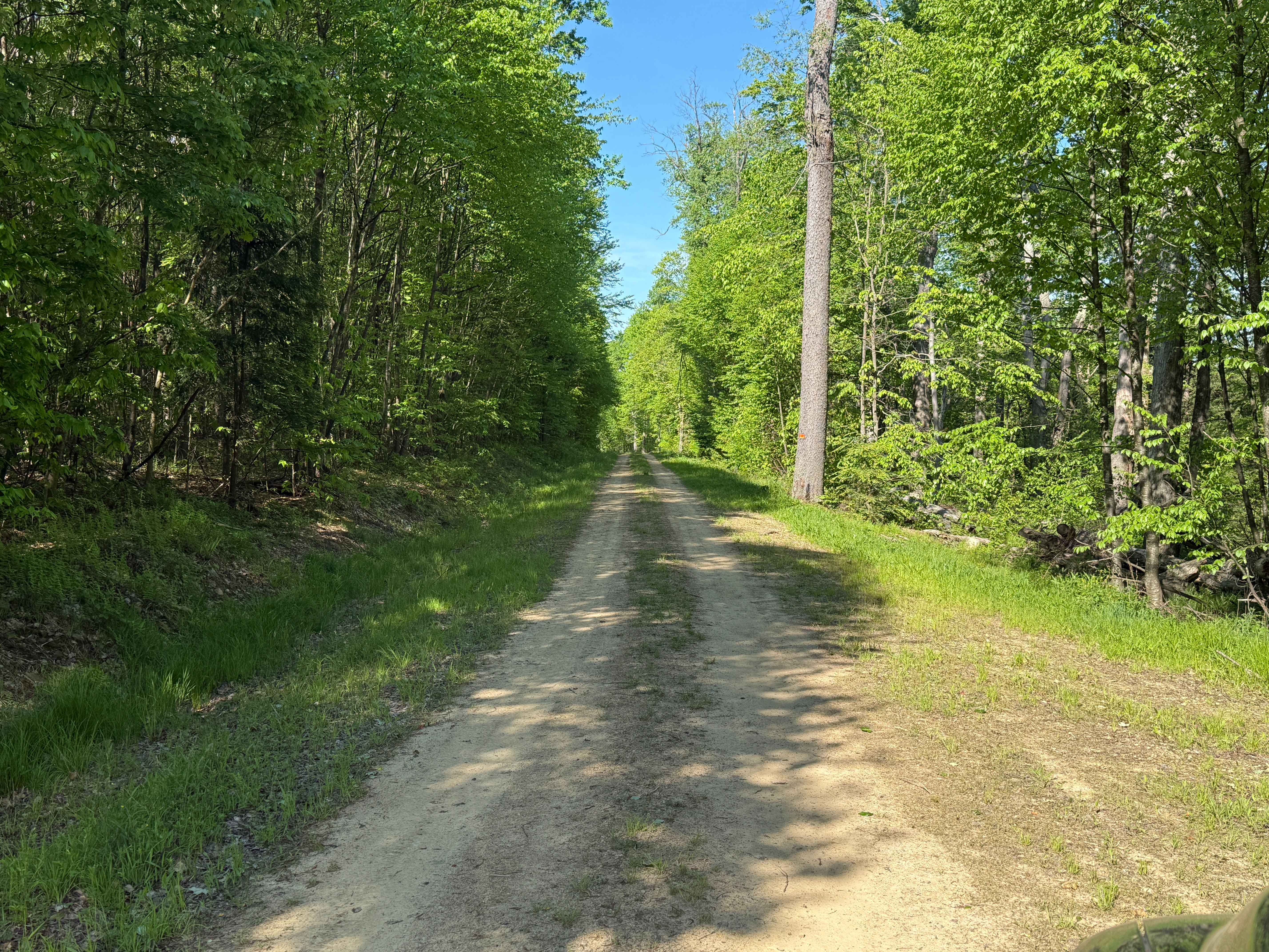 Dewdrop Trail - FS 263