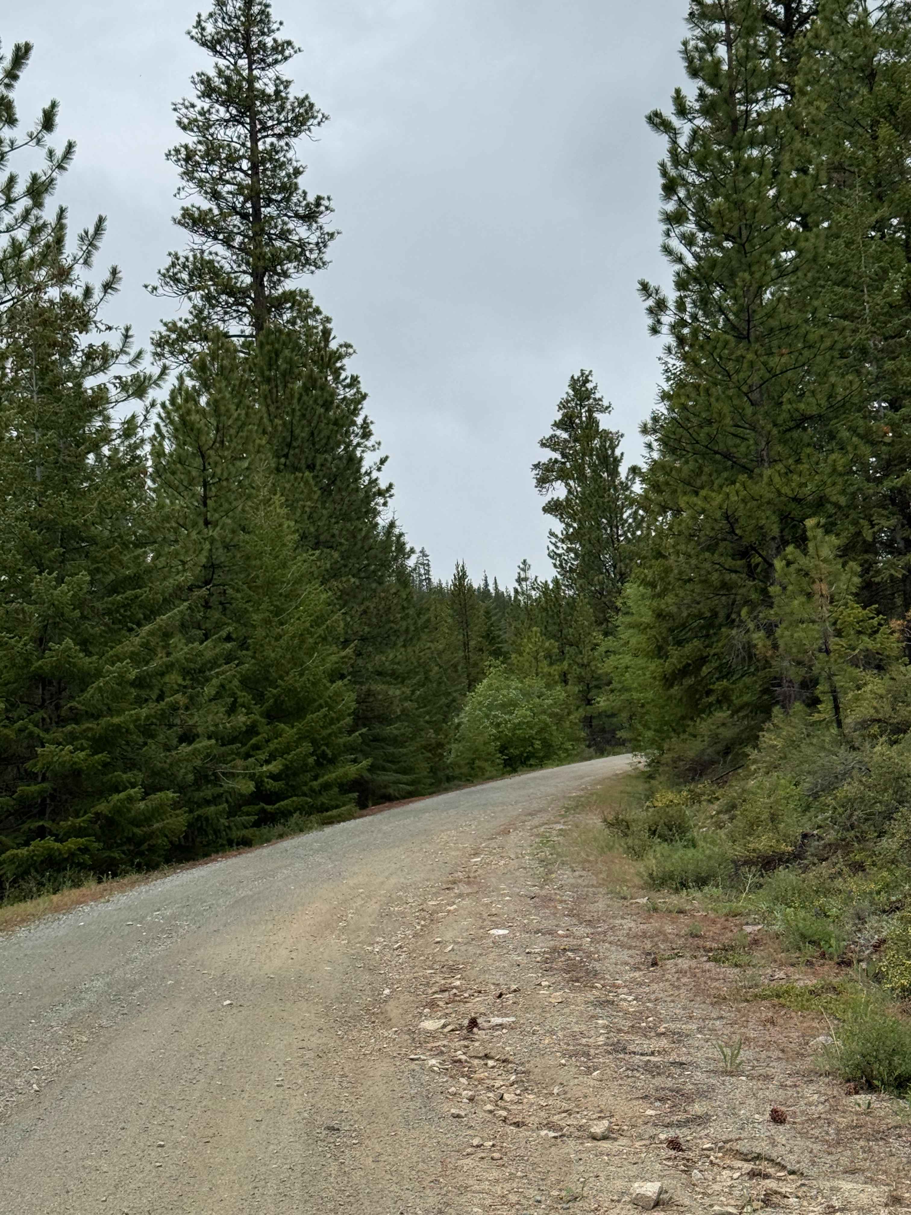 Beaver Summit Road - FS 4230