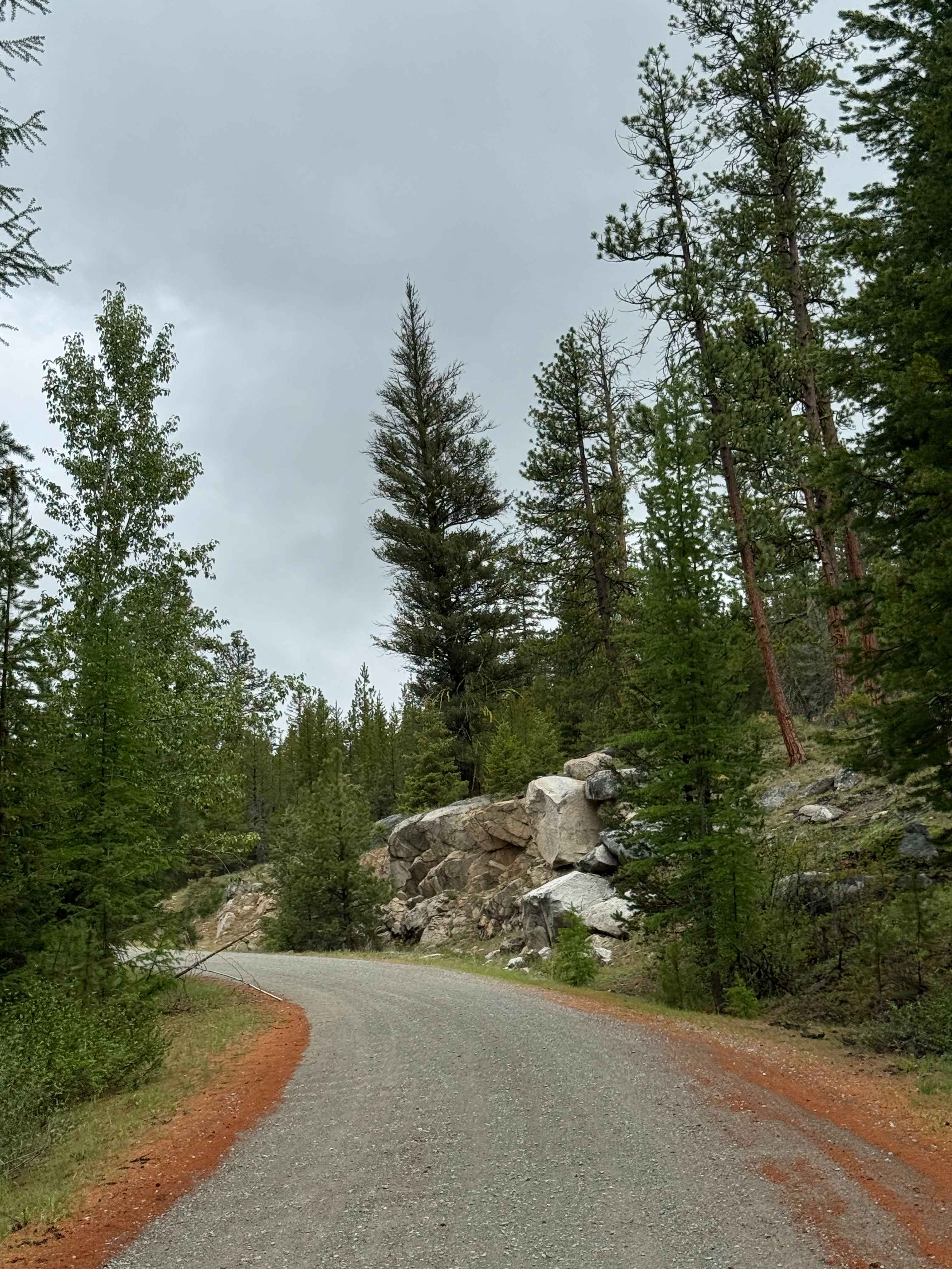 Beaver Summit Road - FS 4230