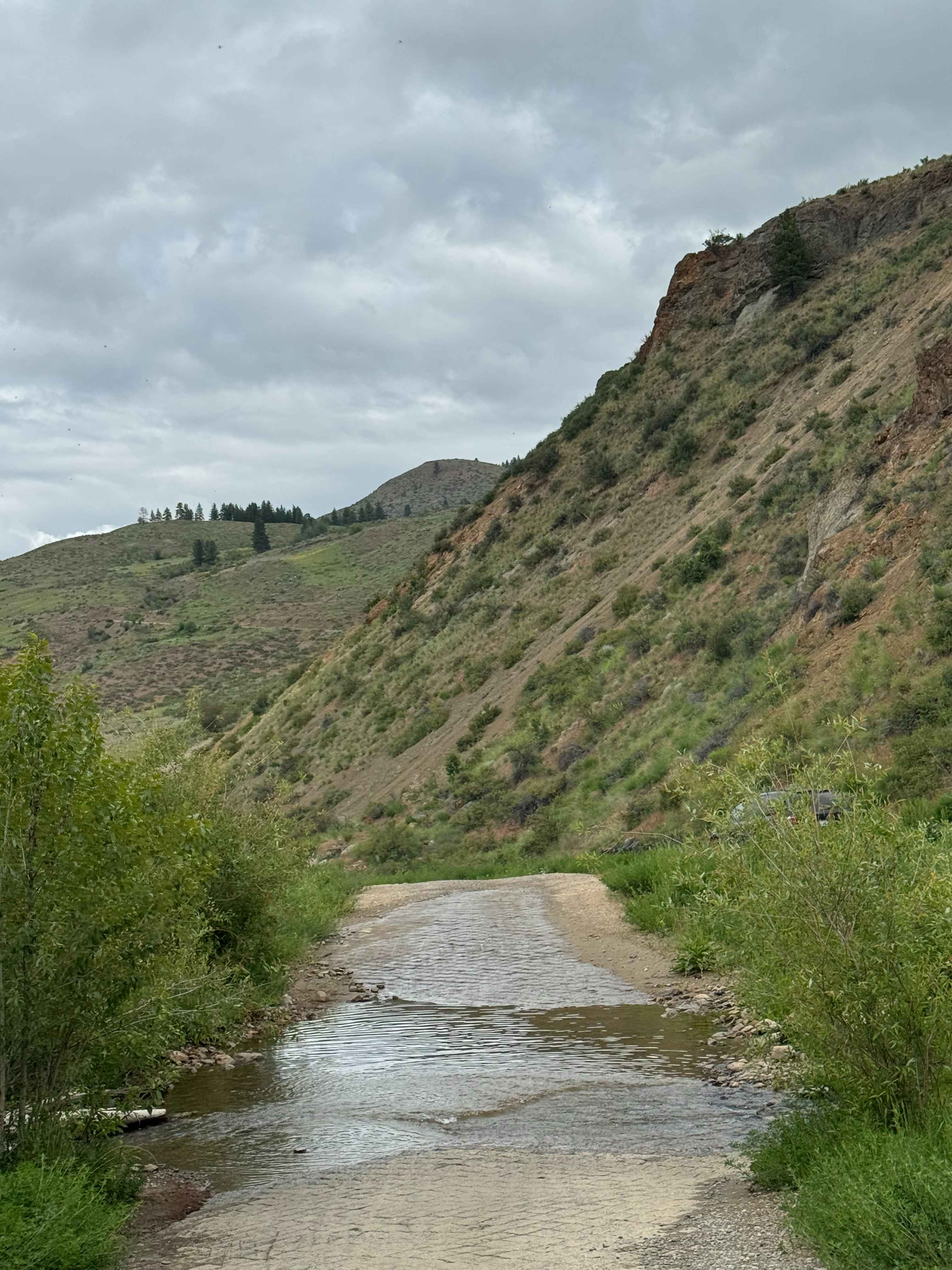Washout Road - FS 5009-300