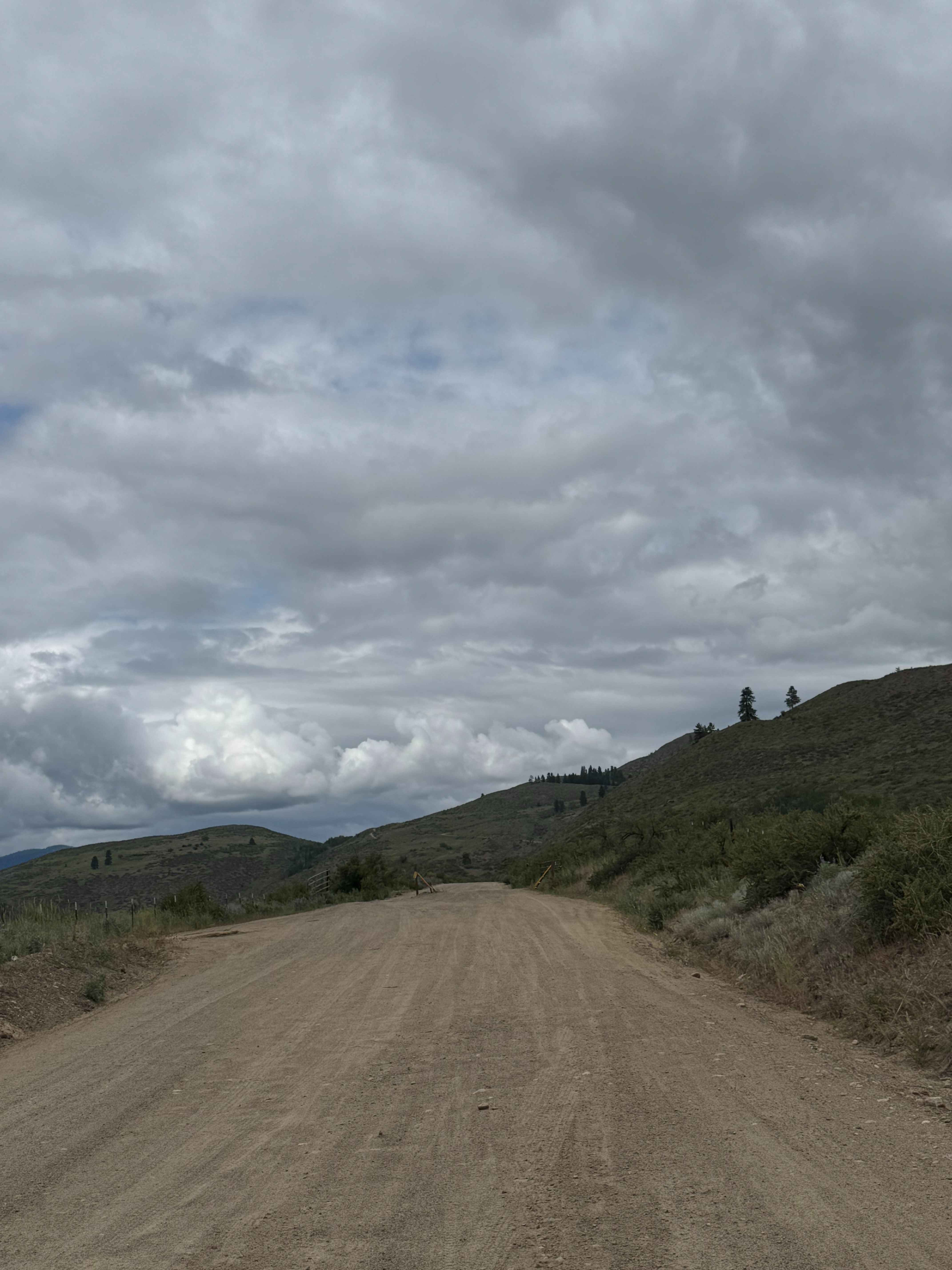 Washout Road - FS 5009-300