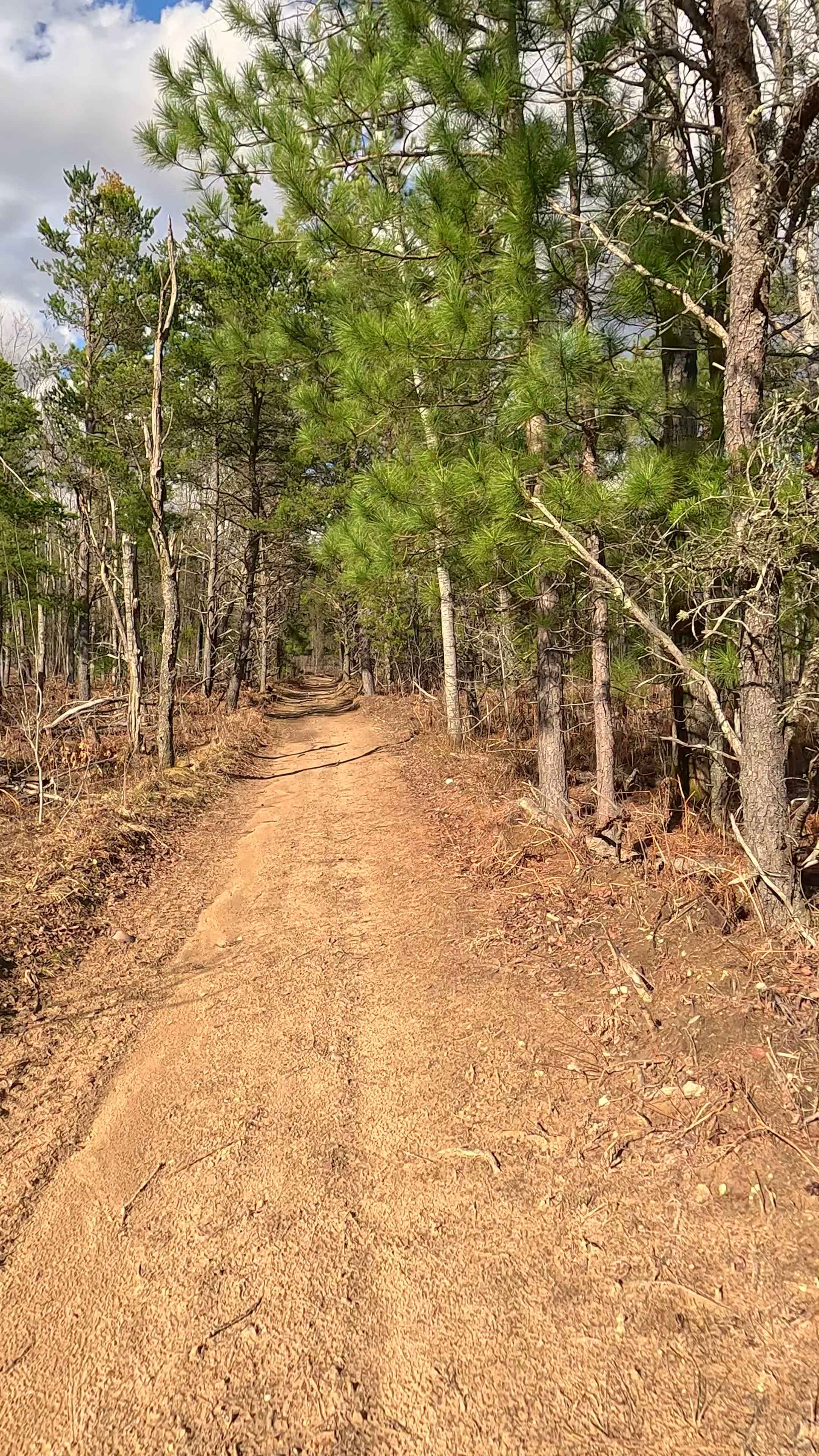 ORV H-57 : Bull Gap Hill Climb - Secondary Return Loop <50