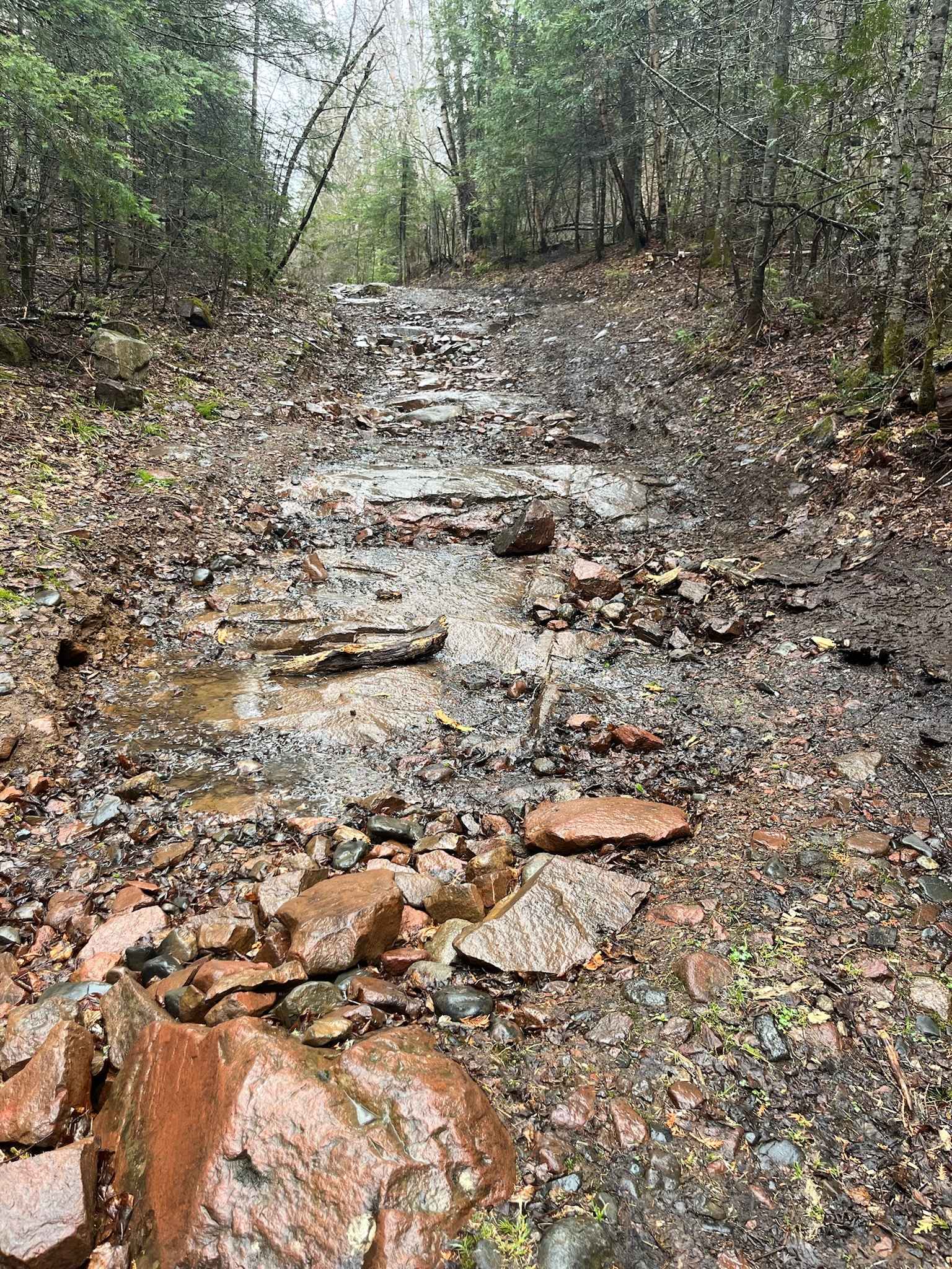 Thrasher Trail