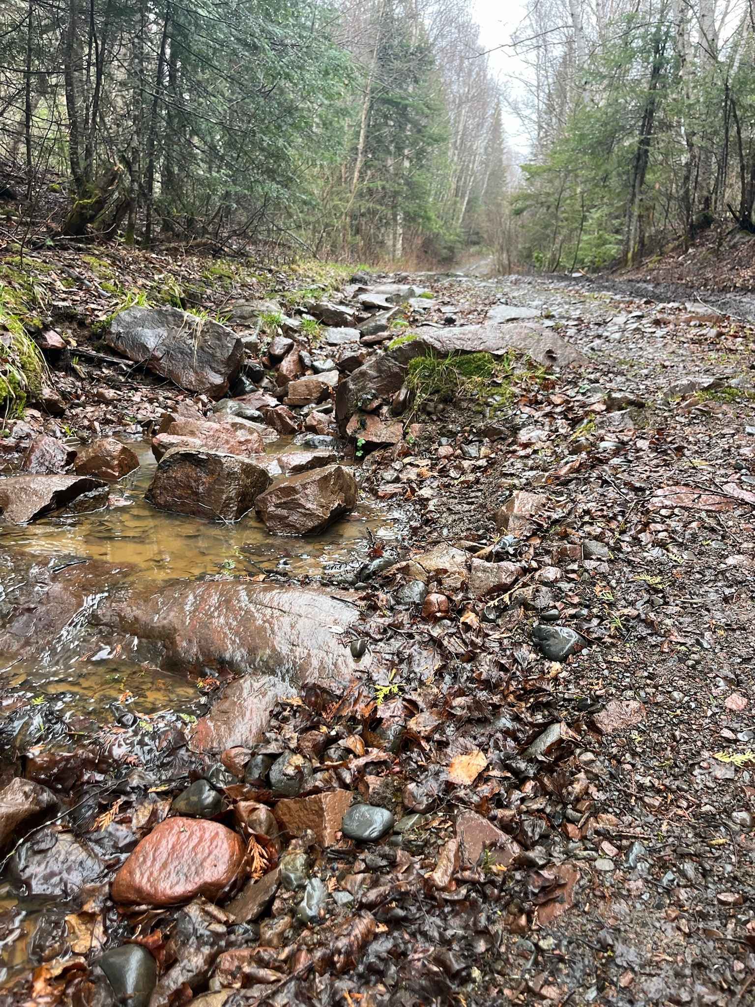 Thrasher Trail