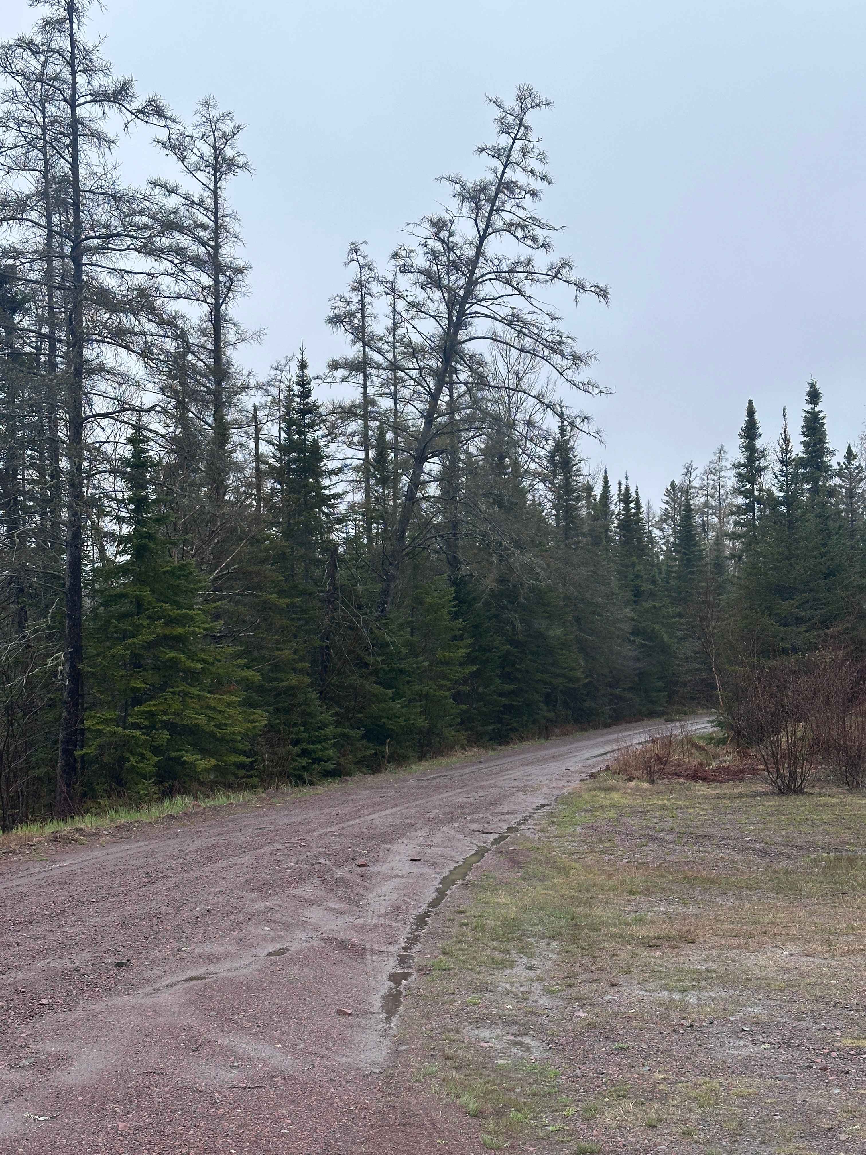 Pine Mountain Road